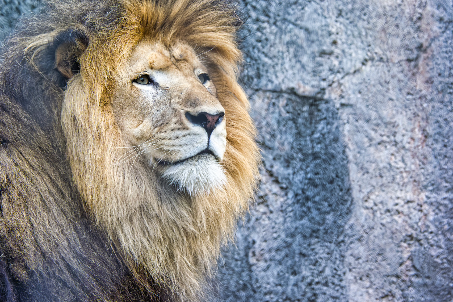 IN Zoo 00052