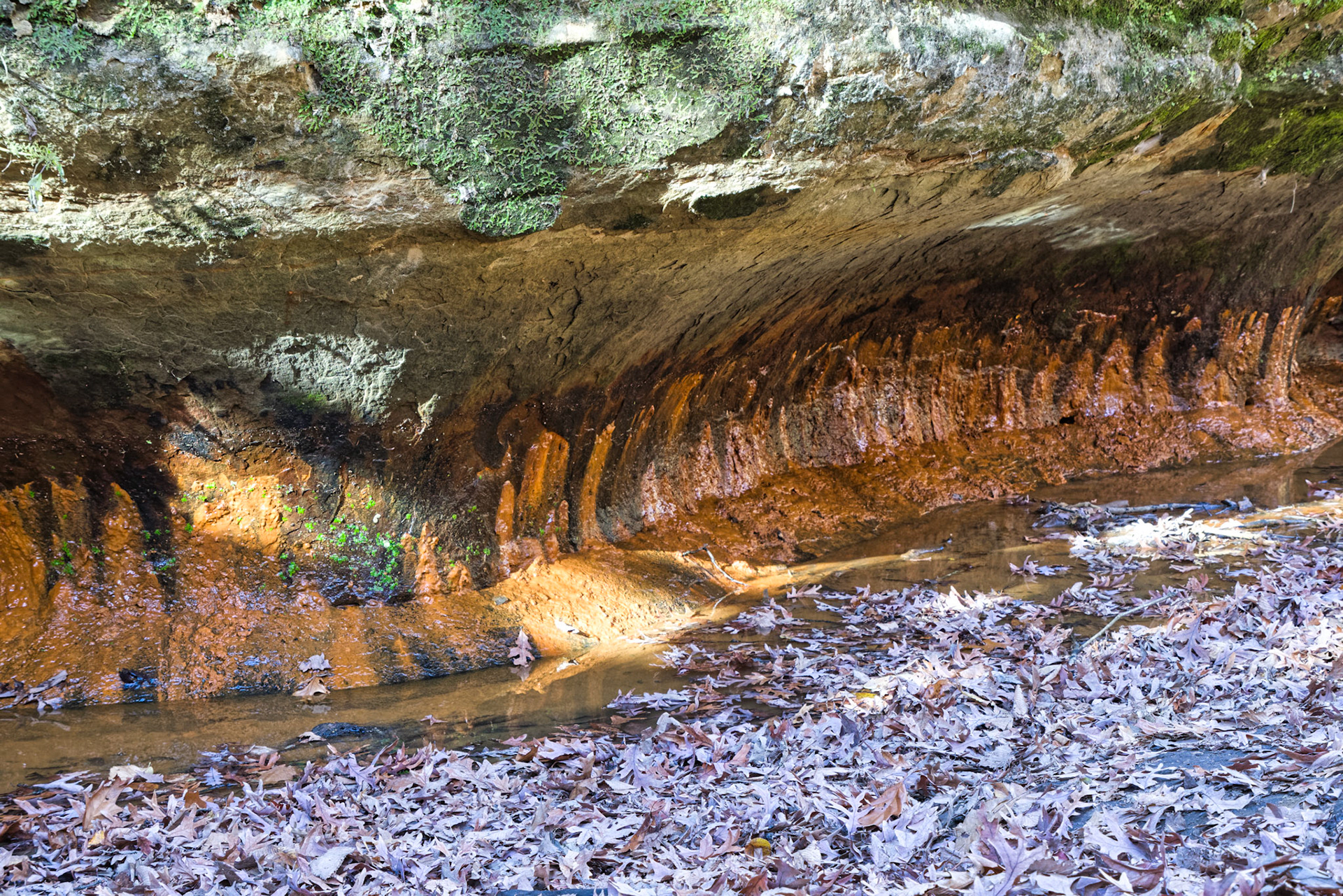 IL Starved Rock 00014