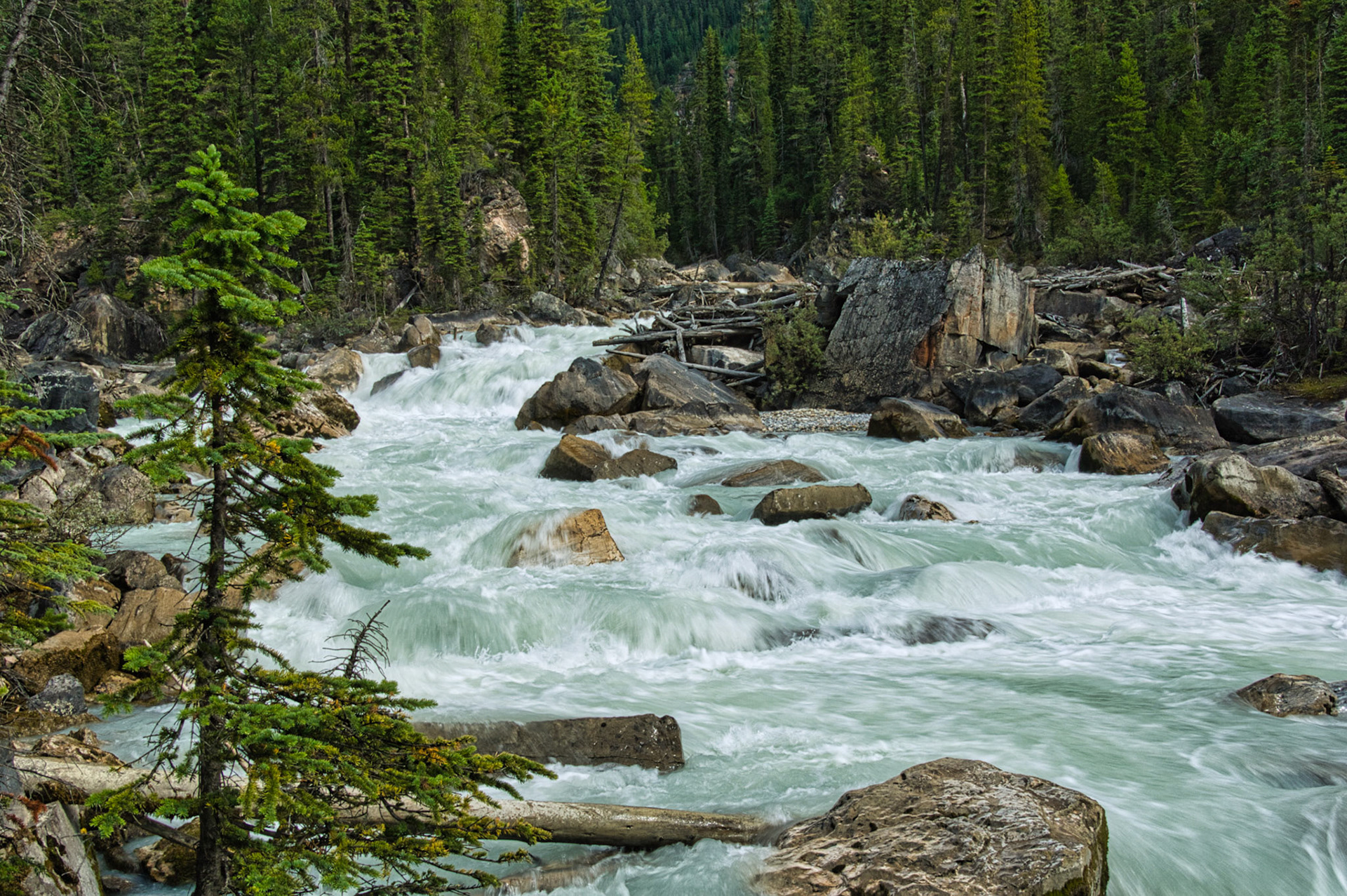 Canada Alberta 00020