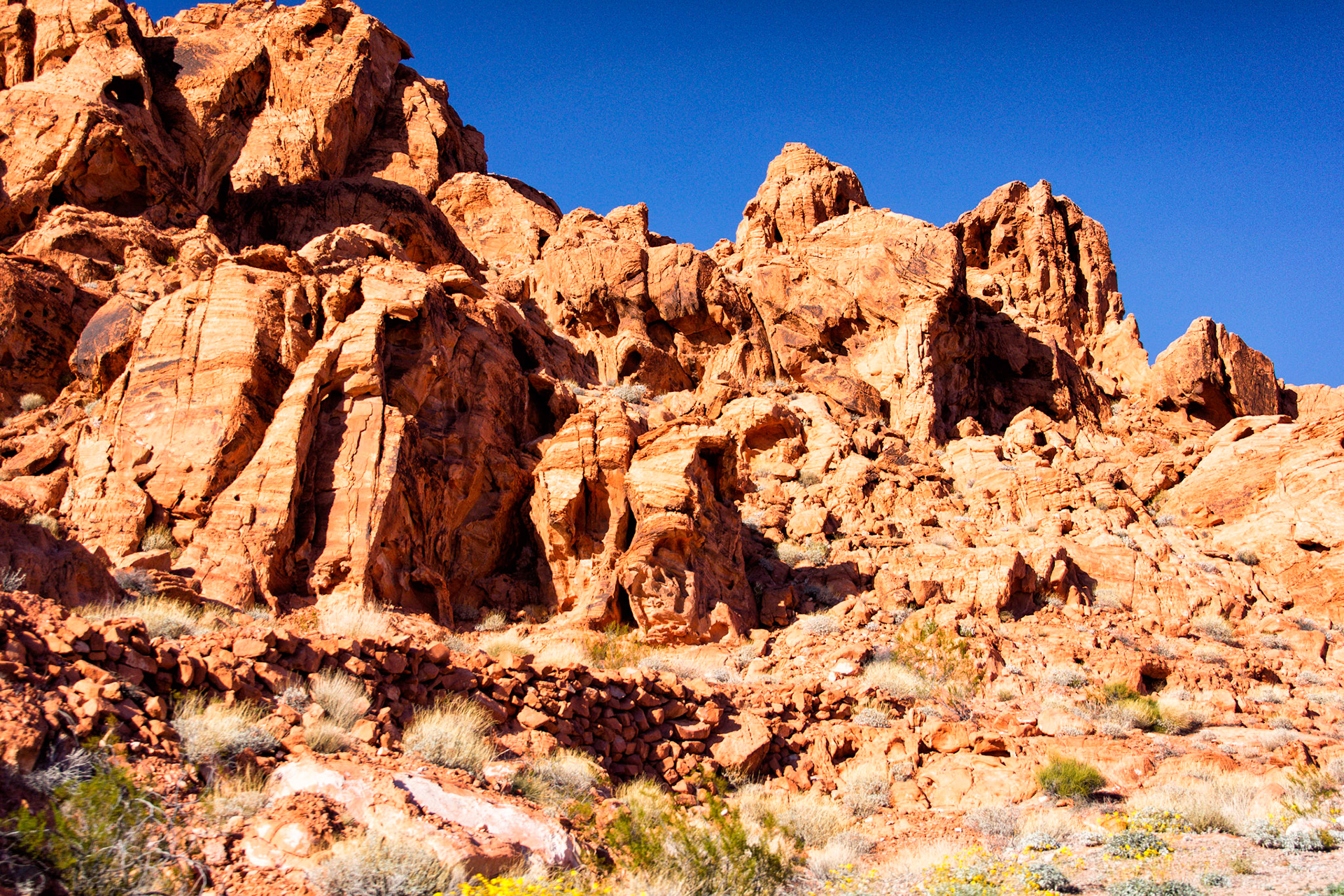 NV Desert 00209