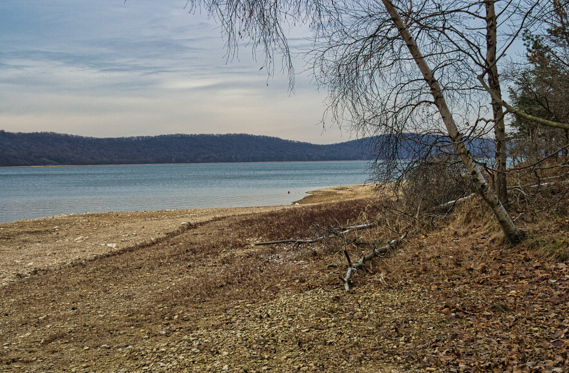 NJ Miscellaneous 00015