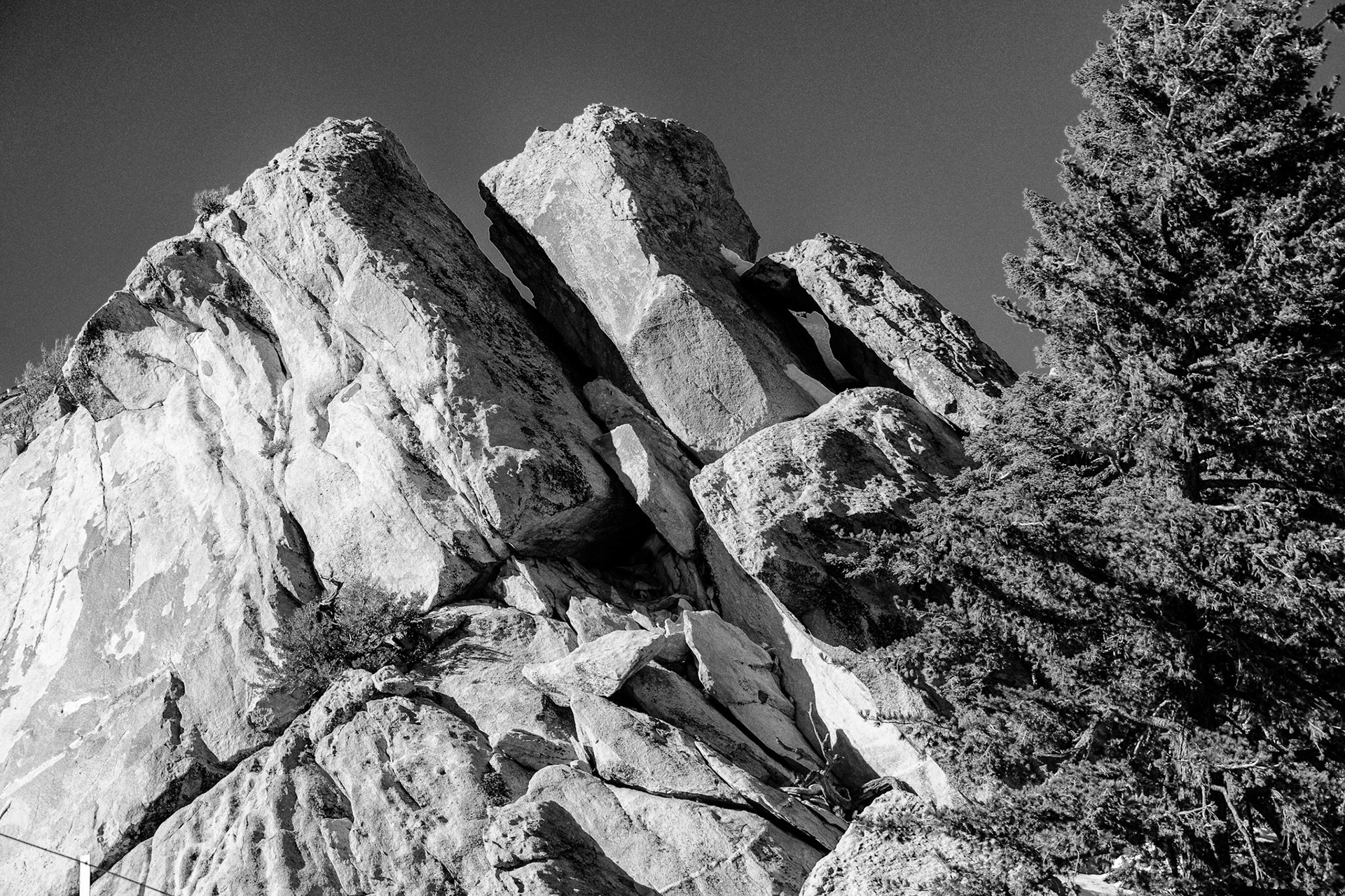 Black & White 00093