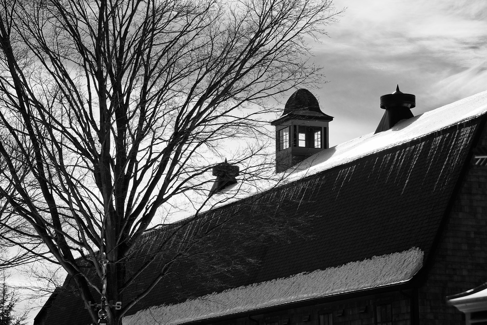Black & White 00113