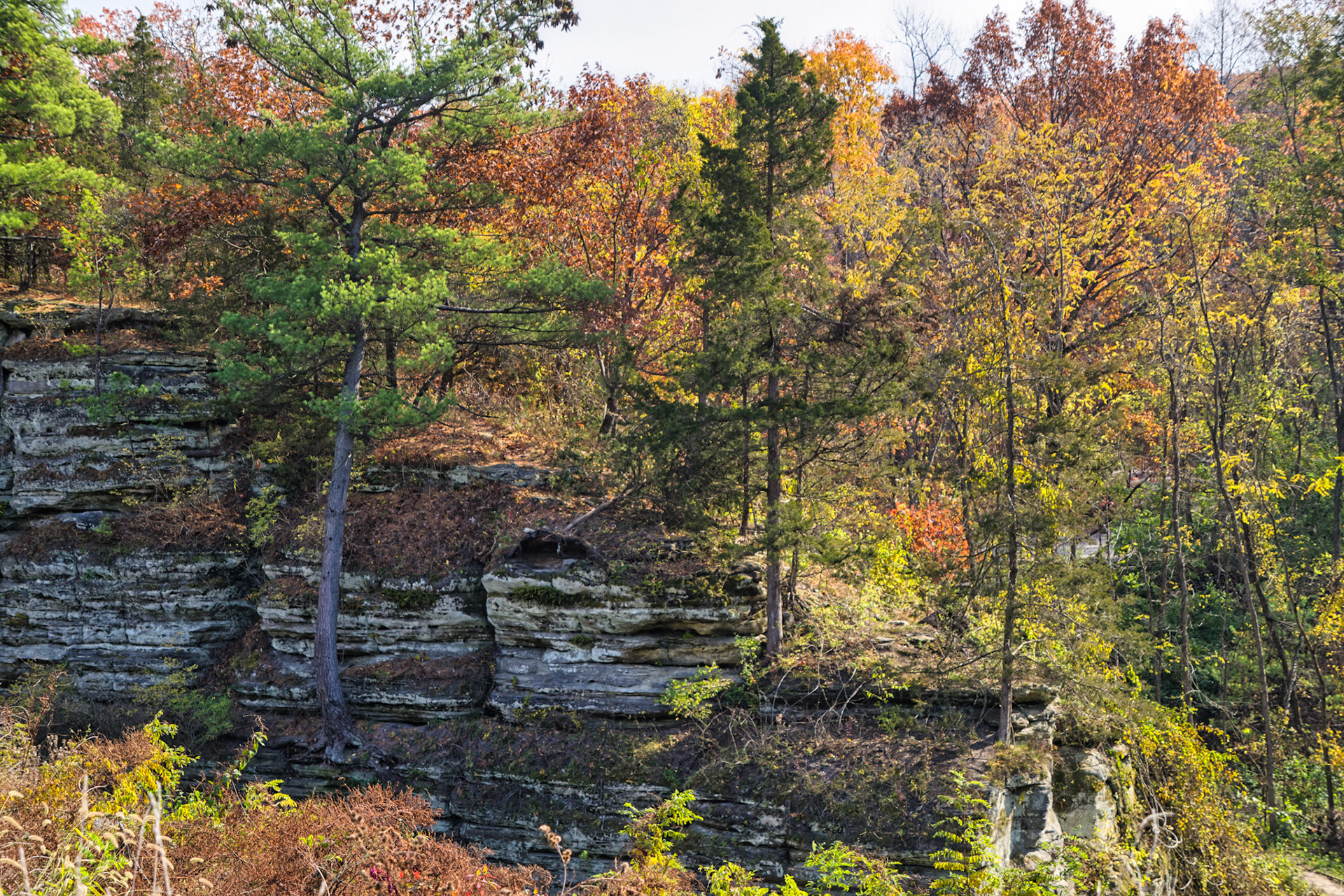 IL Starved Rock 00038