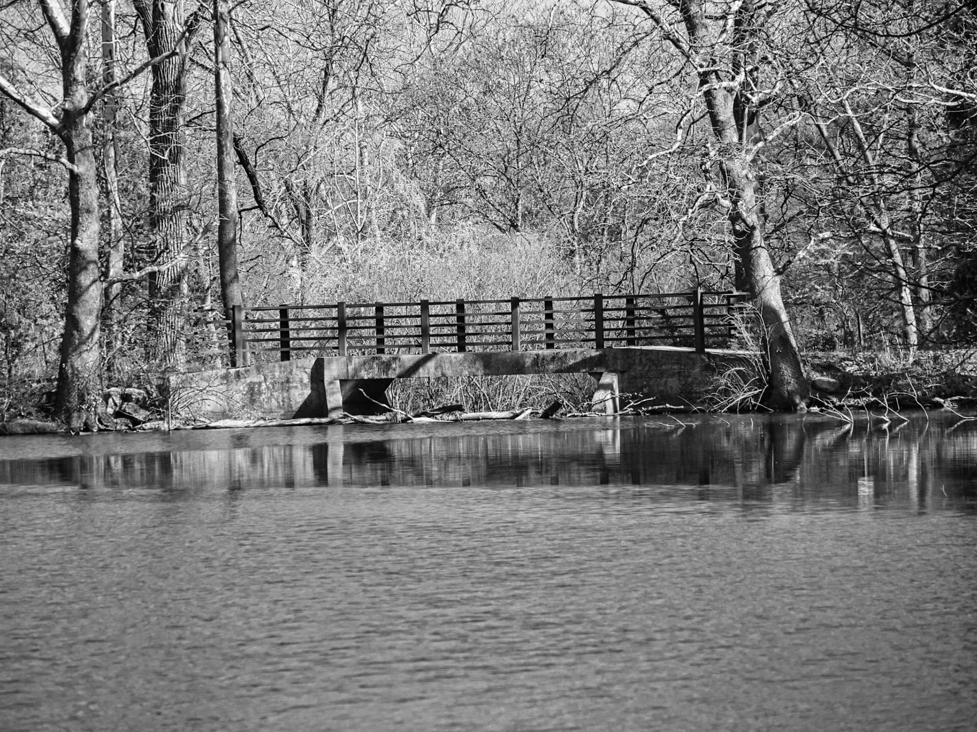 Black & White 00258