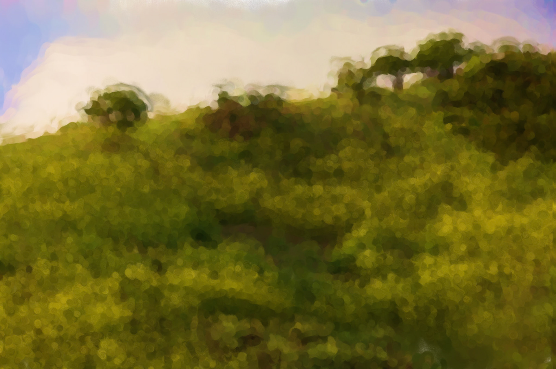 Paintings 00127
