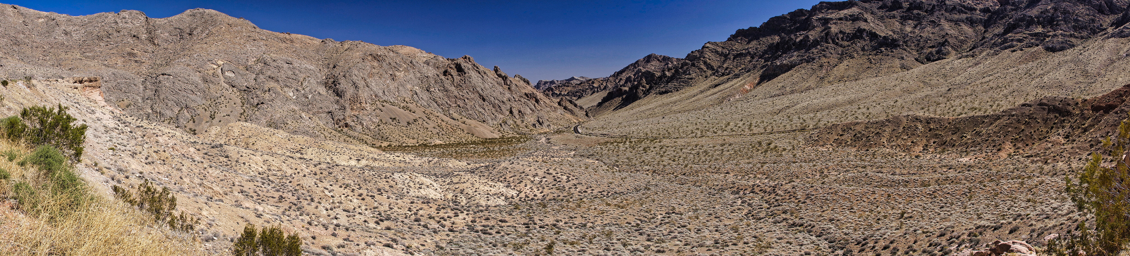 NV Desert 00161