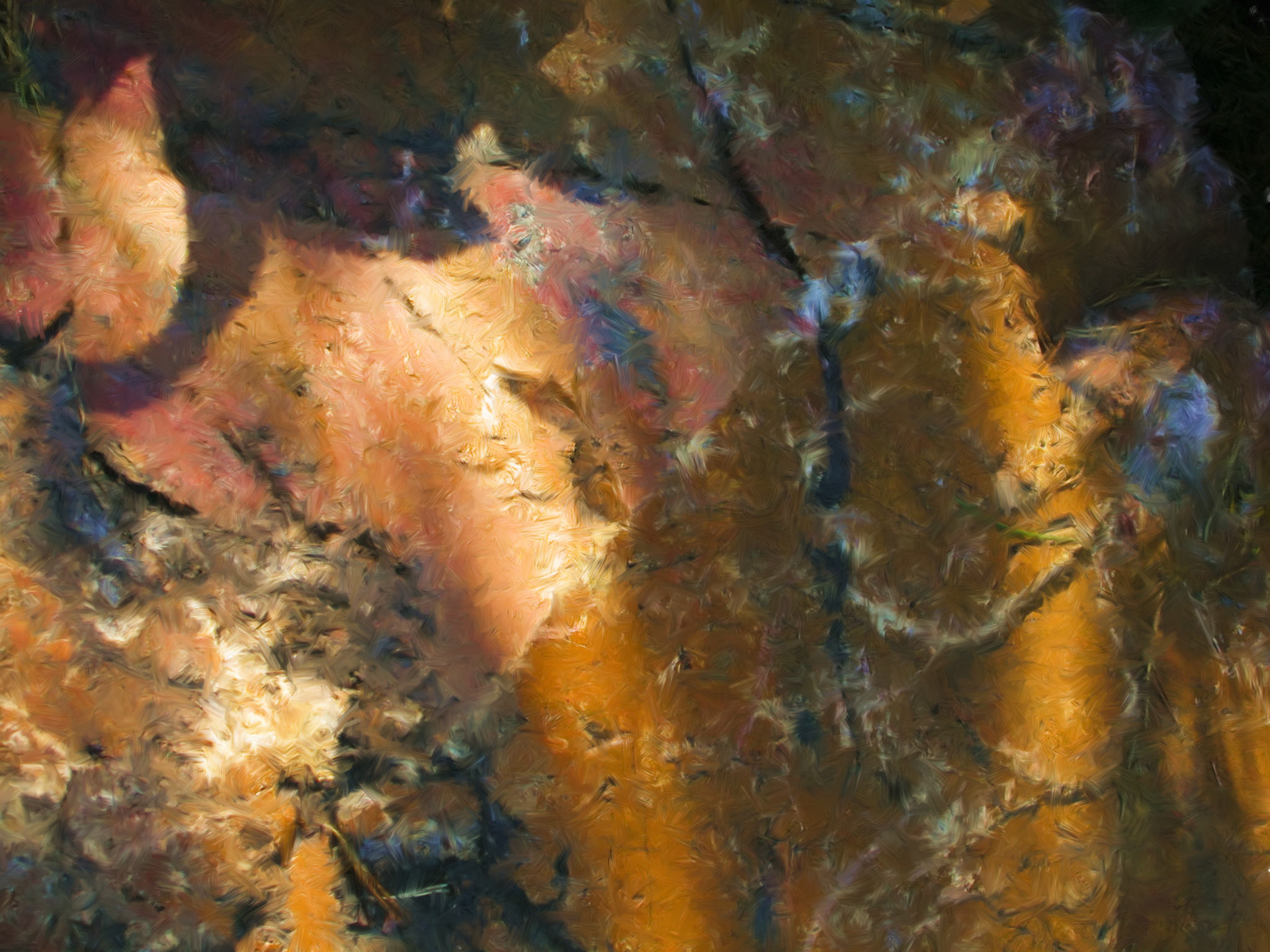 Paintings 00030
