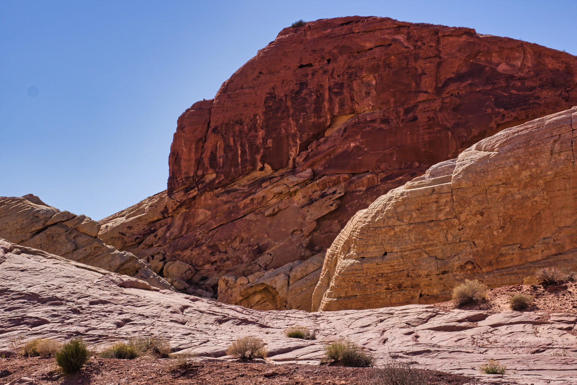 NV Desert 00118
