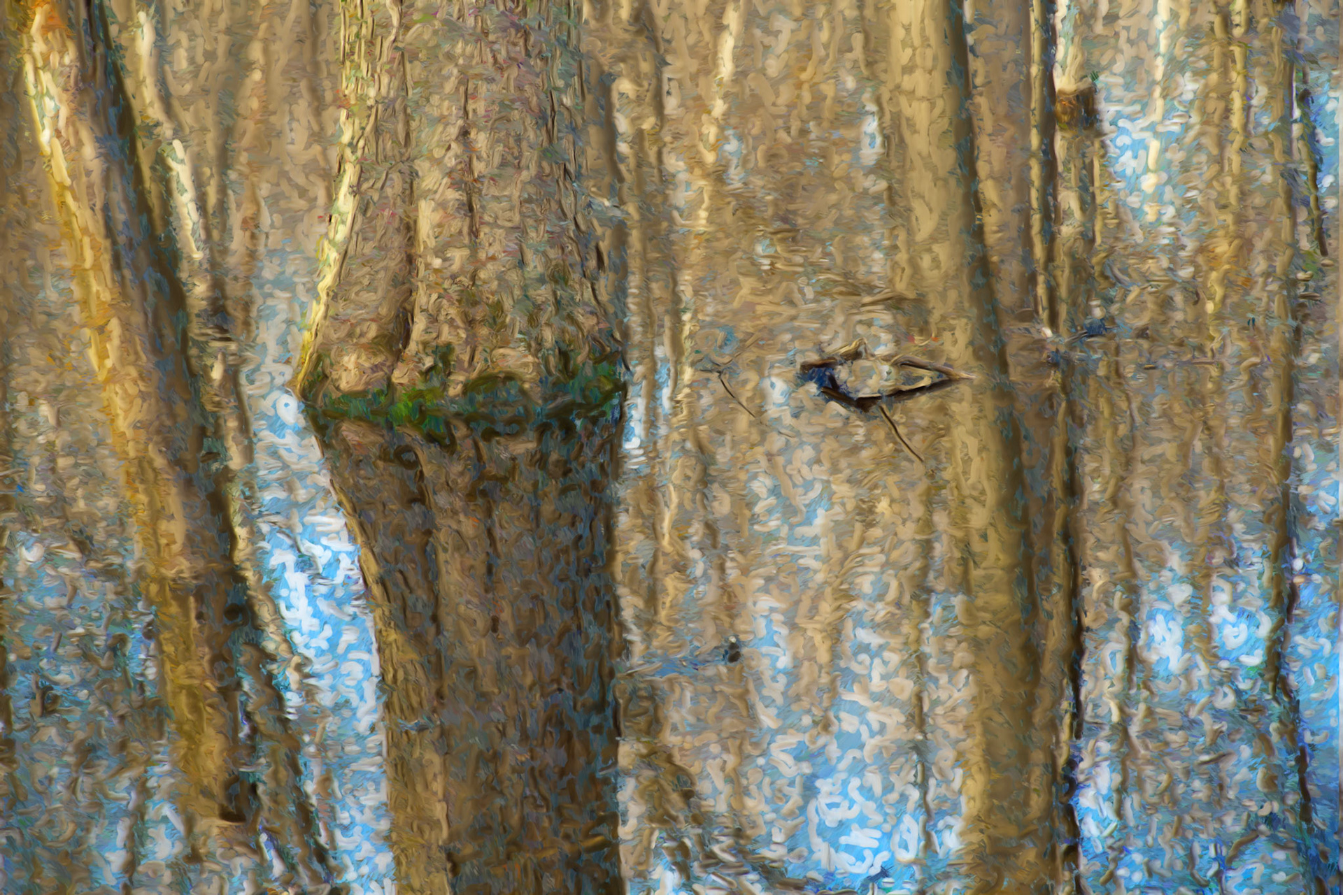 Paintings 00276