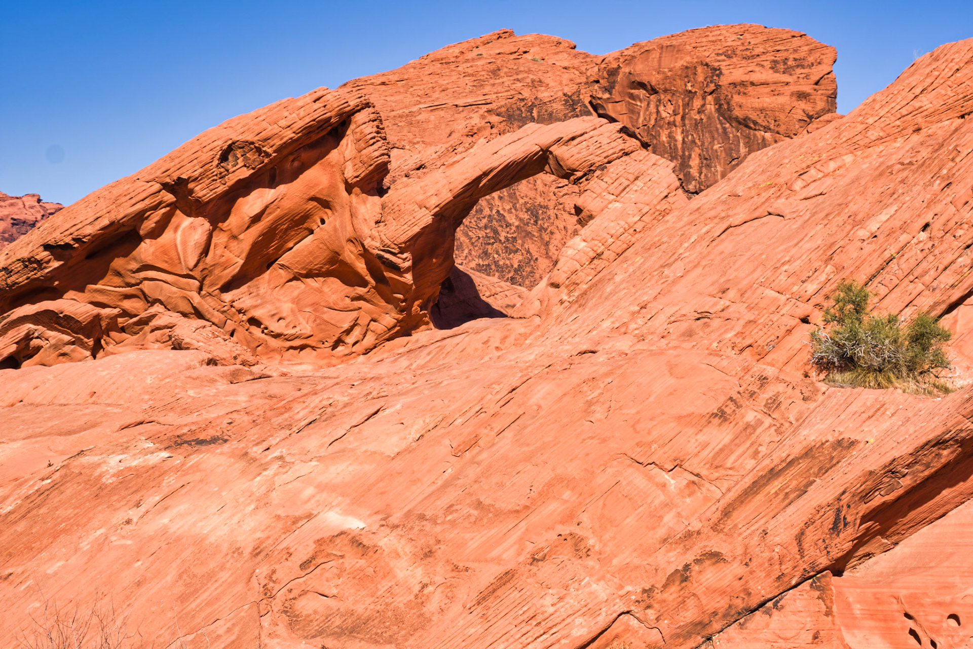 NV Desert 00076