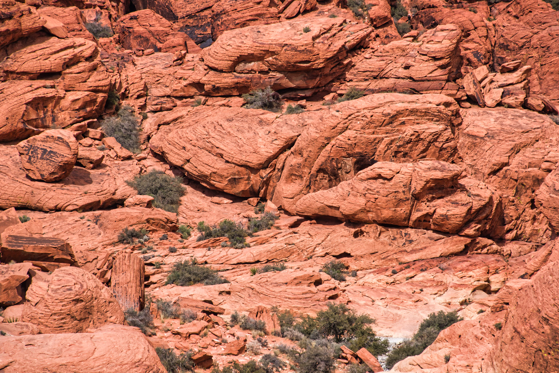 NV Desert 00187