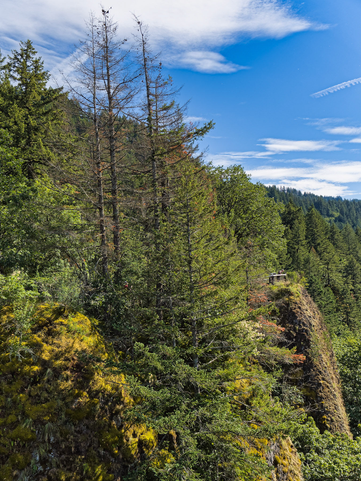 OR Portland 00066