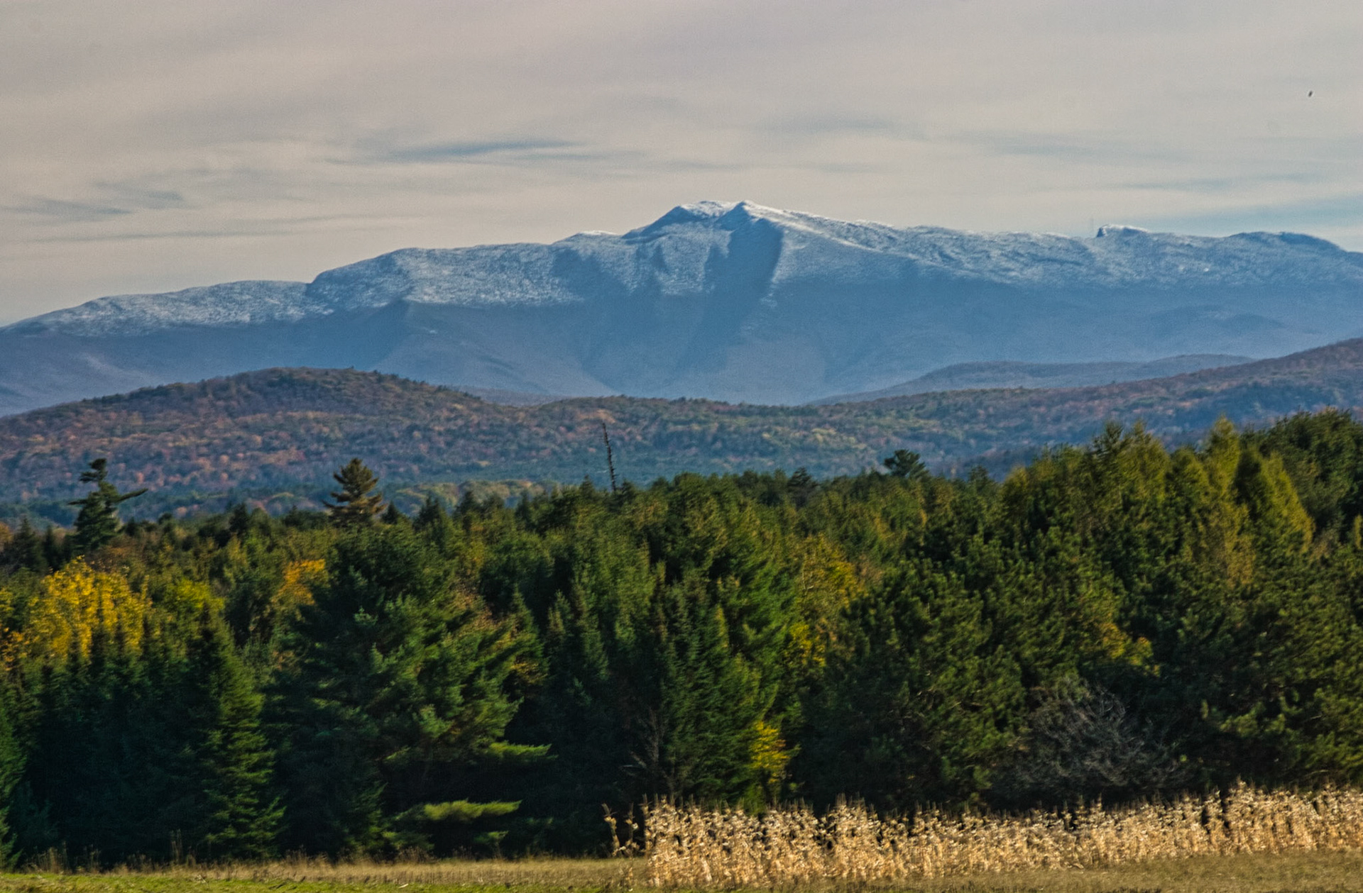 VT Miscellaneous 00057