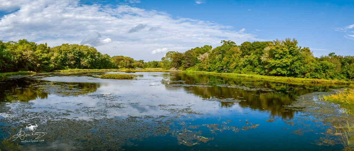 Pond Acushnet