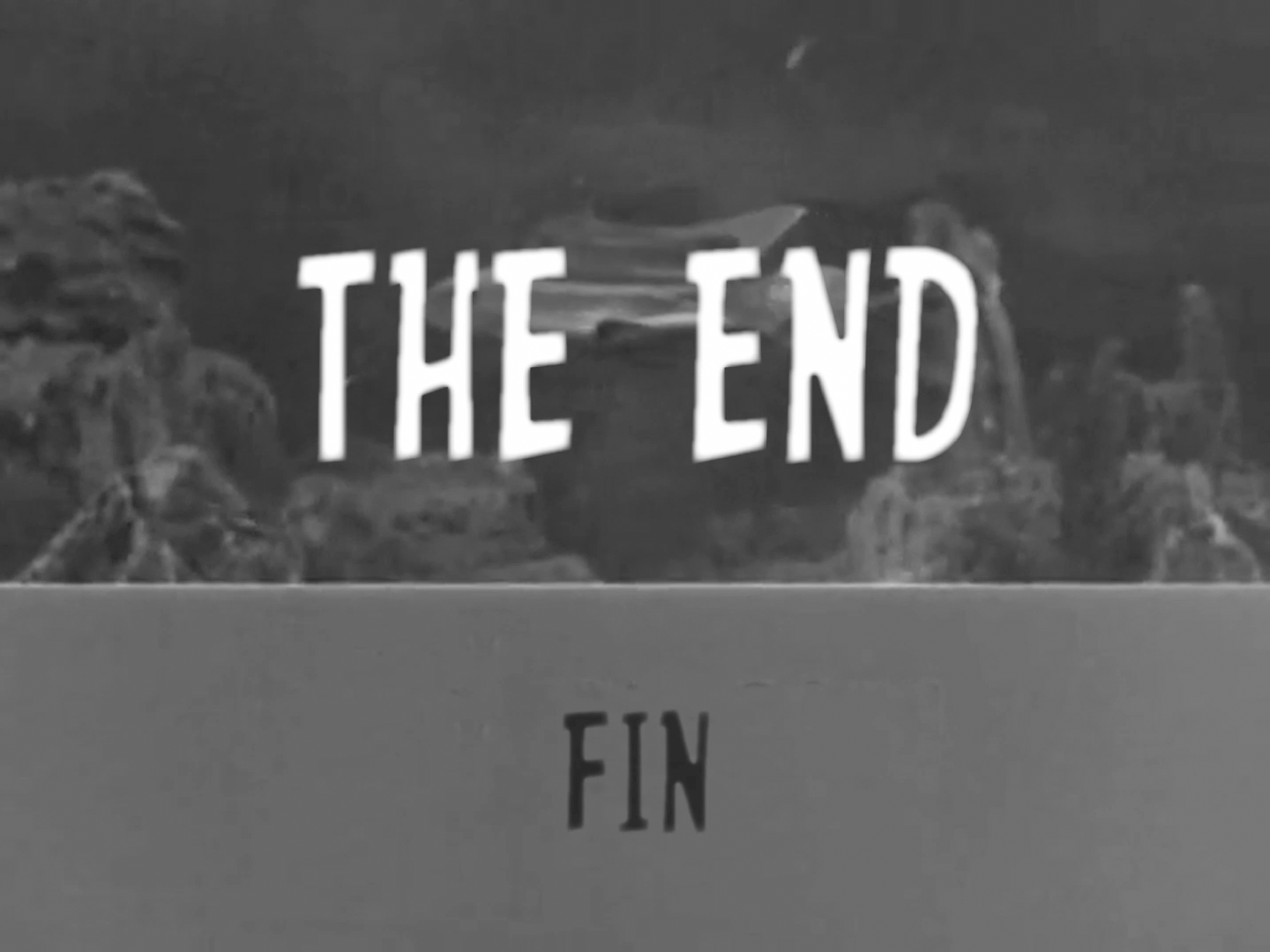 End Card for Short Film