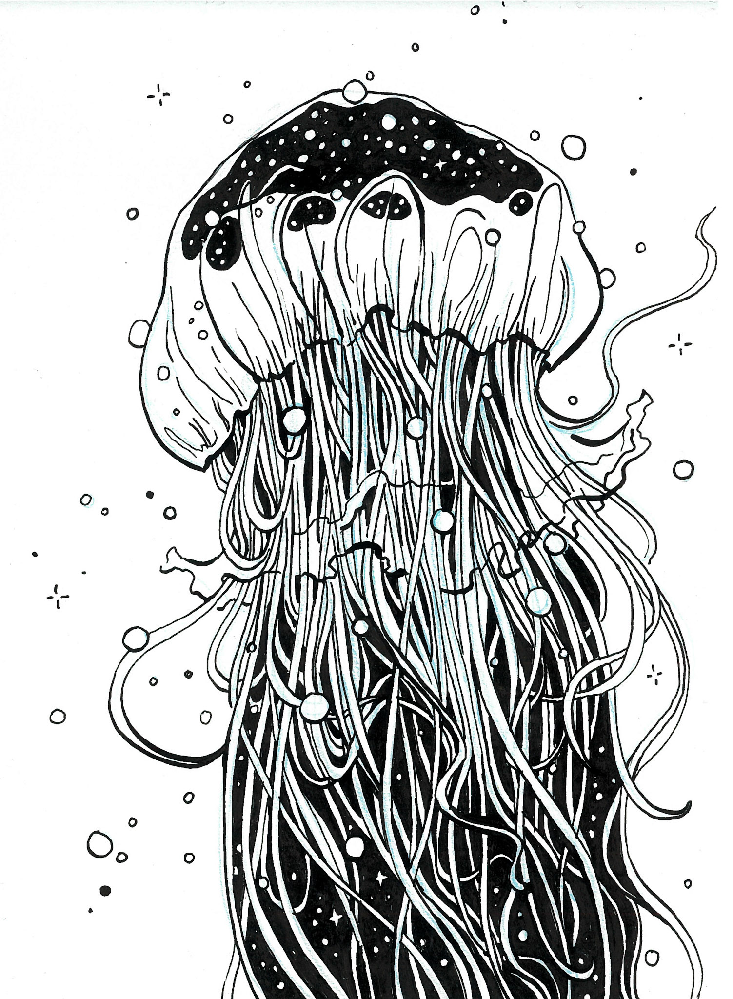 "Voidfish"