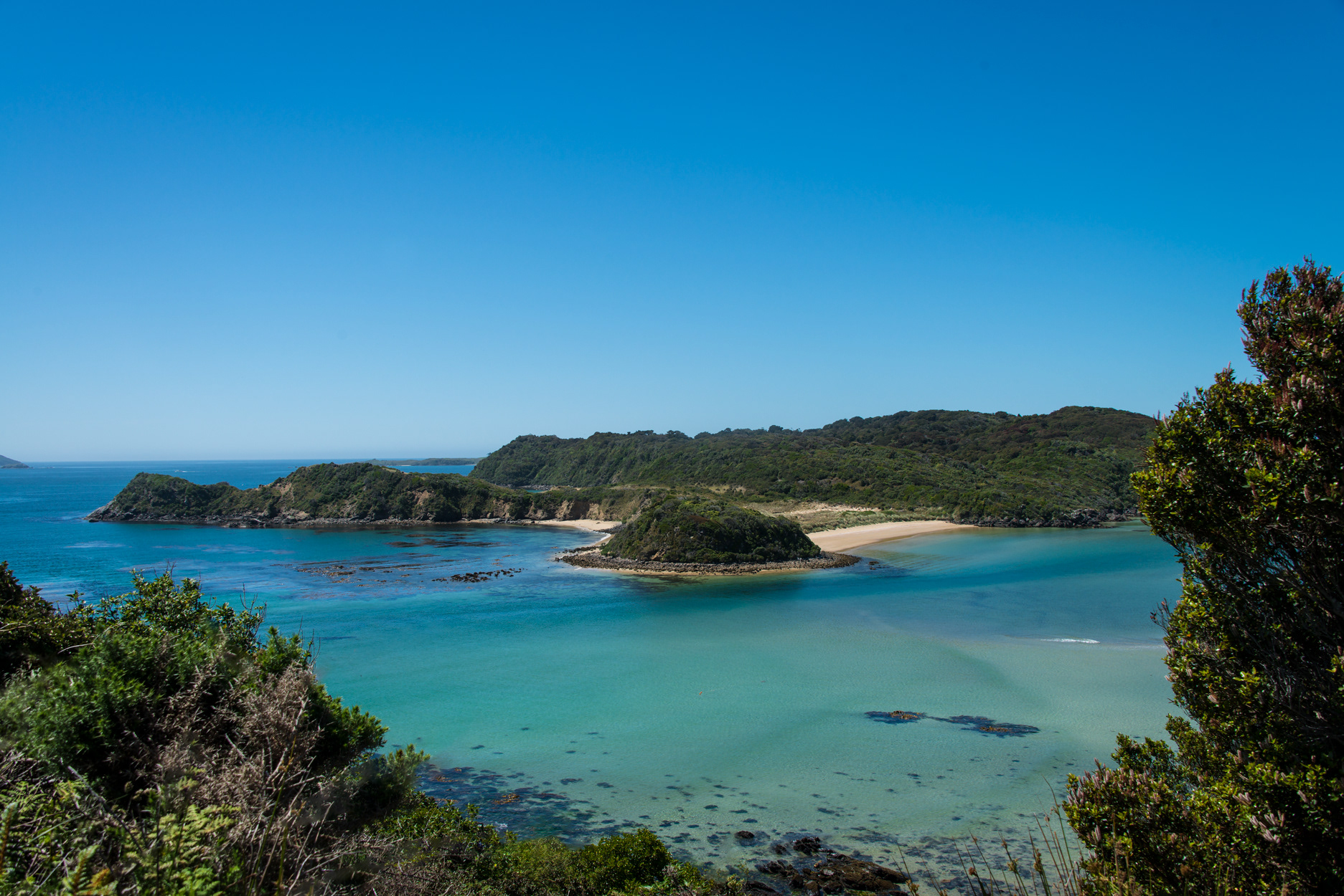 Chris Tattersall - Stewart Island, Christmas 2014