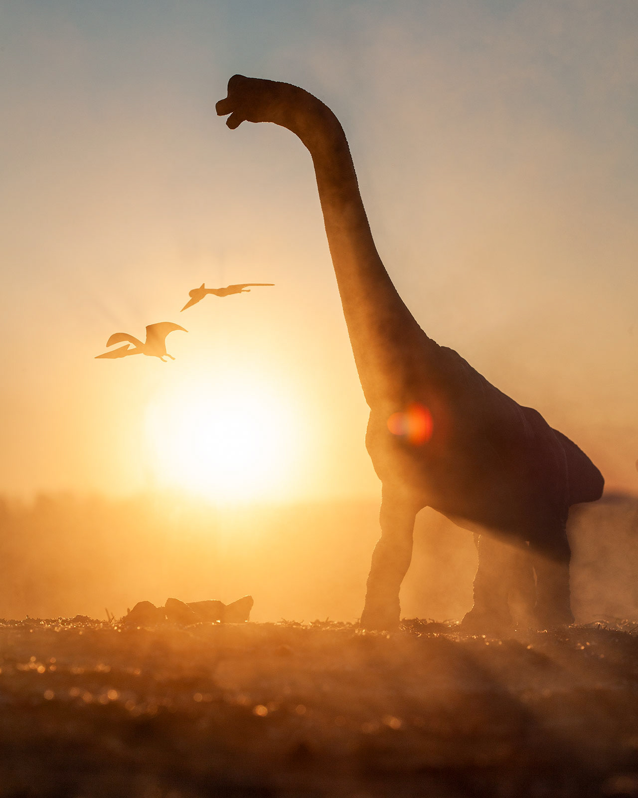 When backlit, the smoke can create striking contrasts and beautiful sun rays.