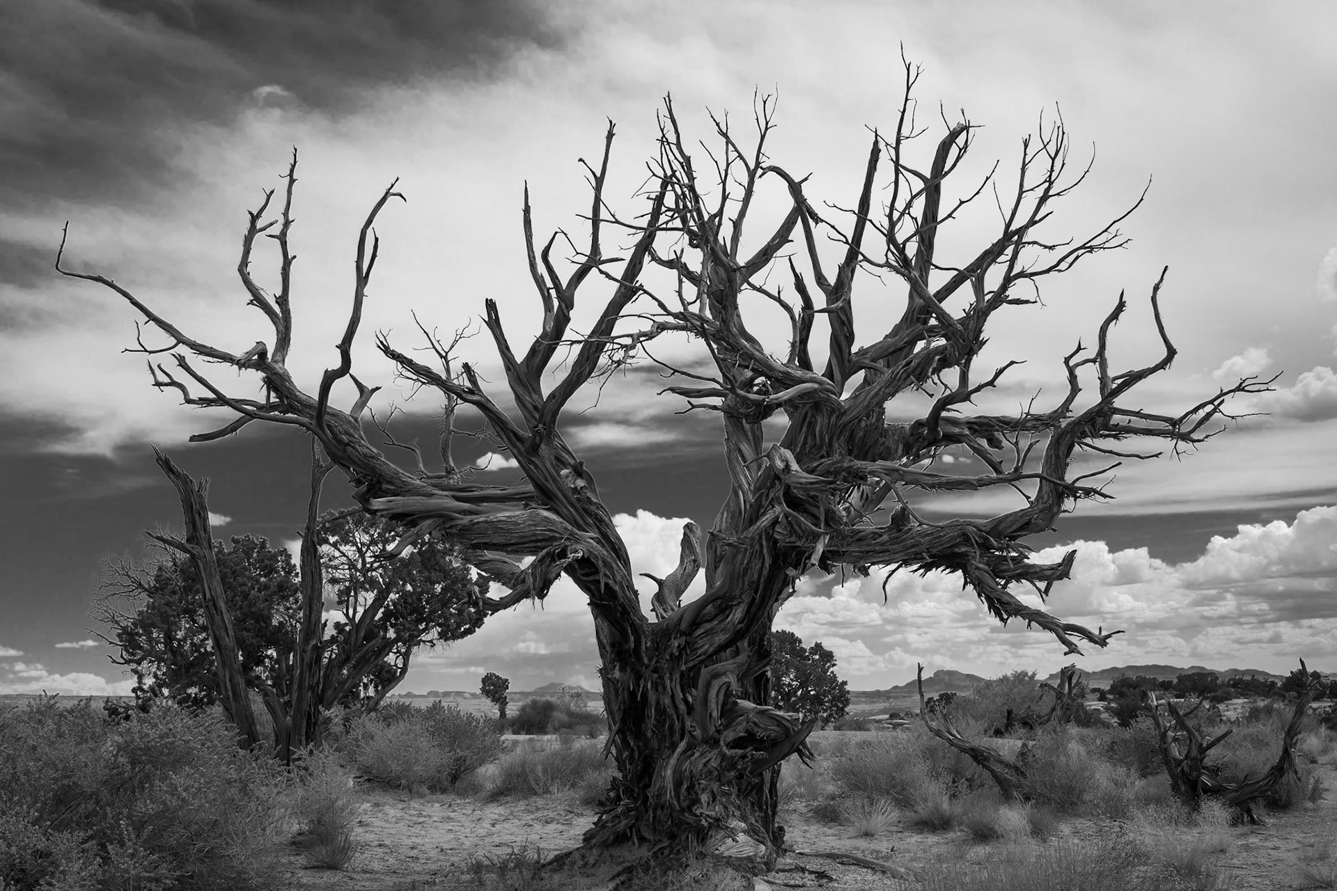 Photographed in Ferron, Utah.