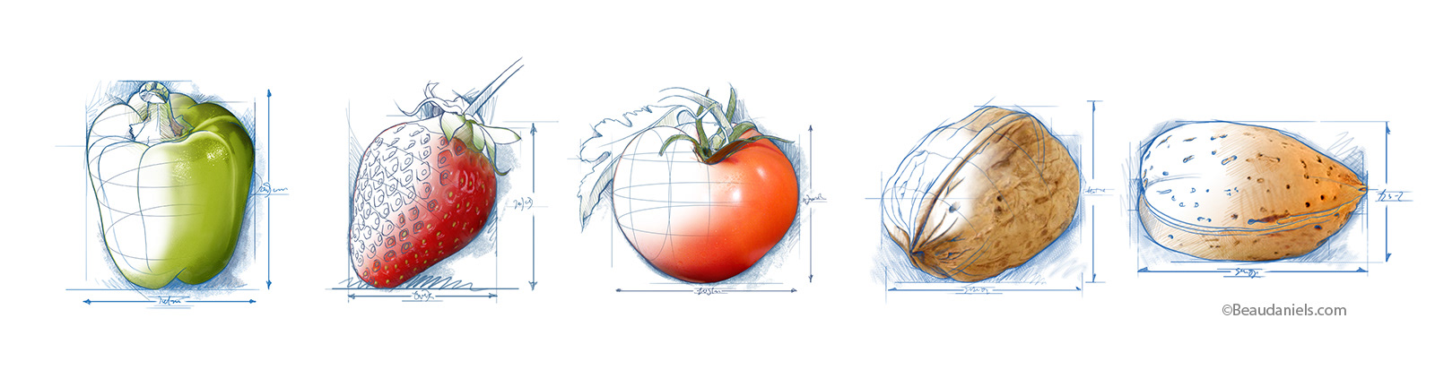 Small sketches that were used in various places throughout the brochures.