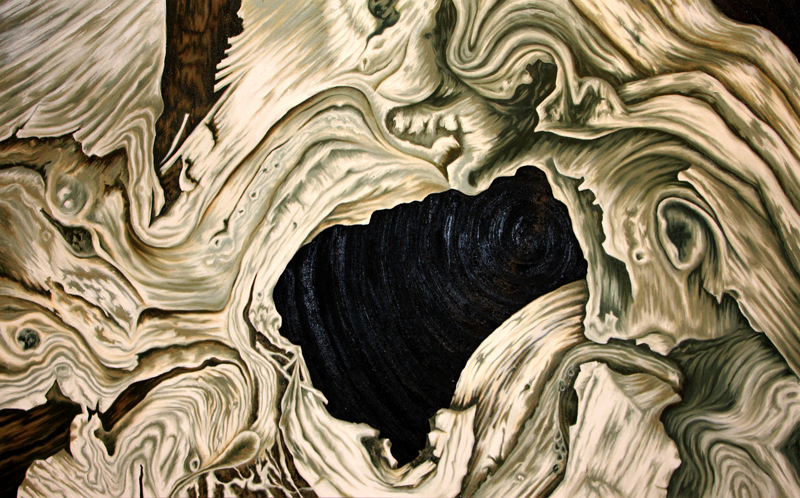 Cedar Stump   H30"xW48"  Oil on canvas