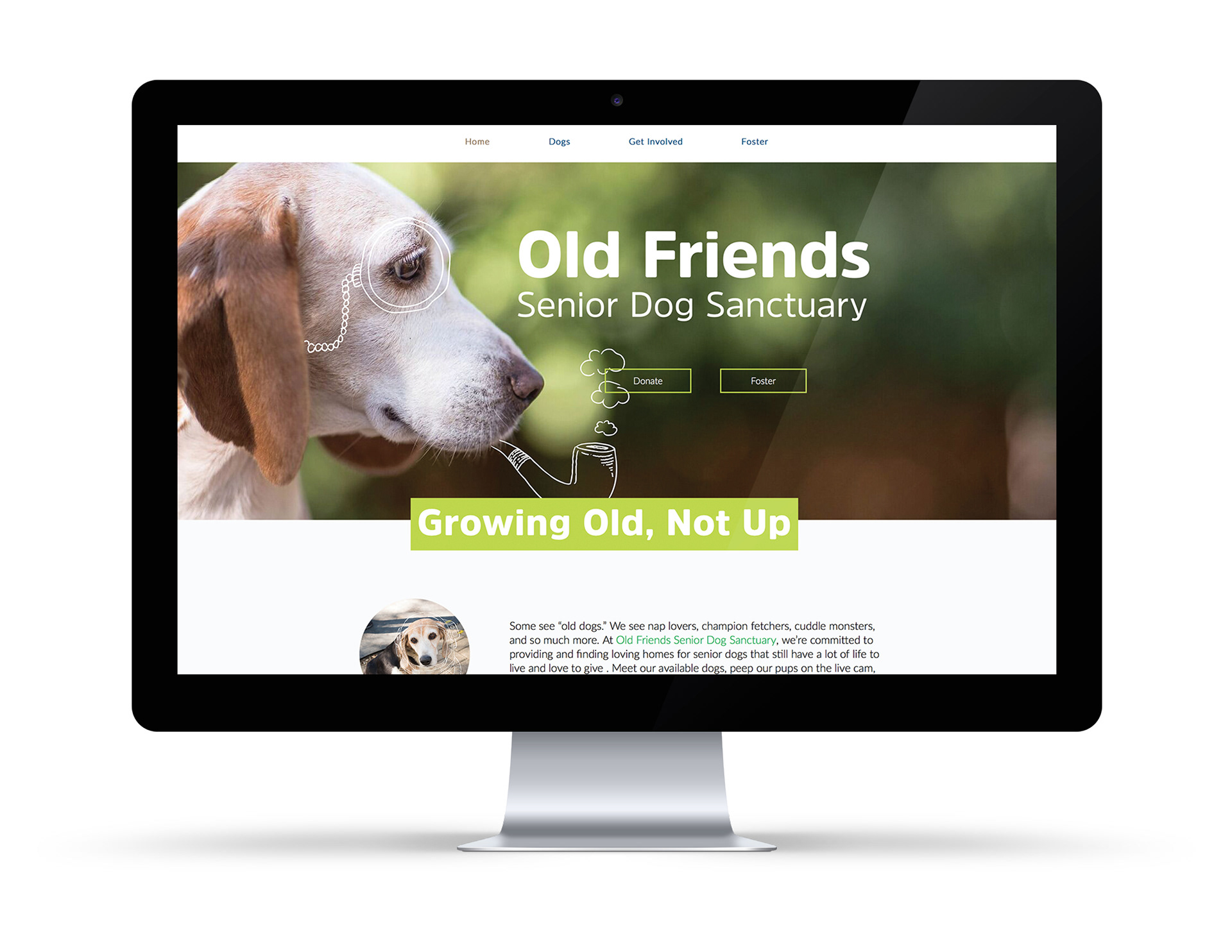 Old Friends Senior Dog - Old Friends Senior Dog Sanctuary