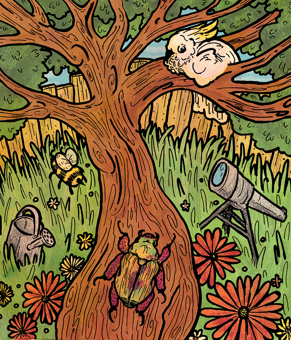 illustration for yarra plenty regional library