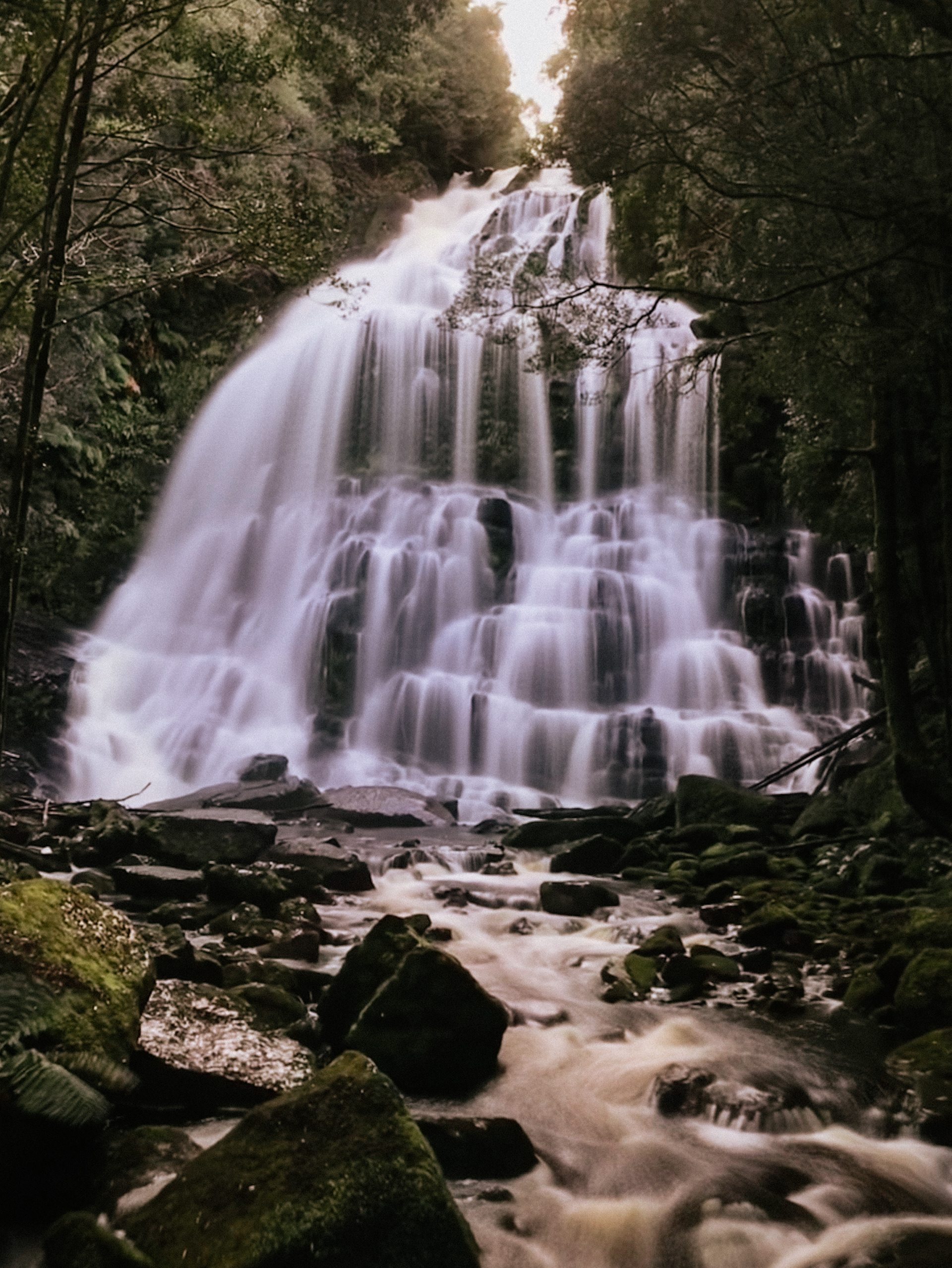 Nelson Falls, Tasmania