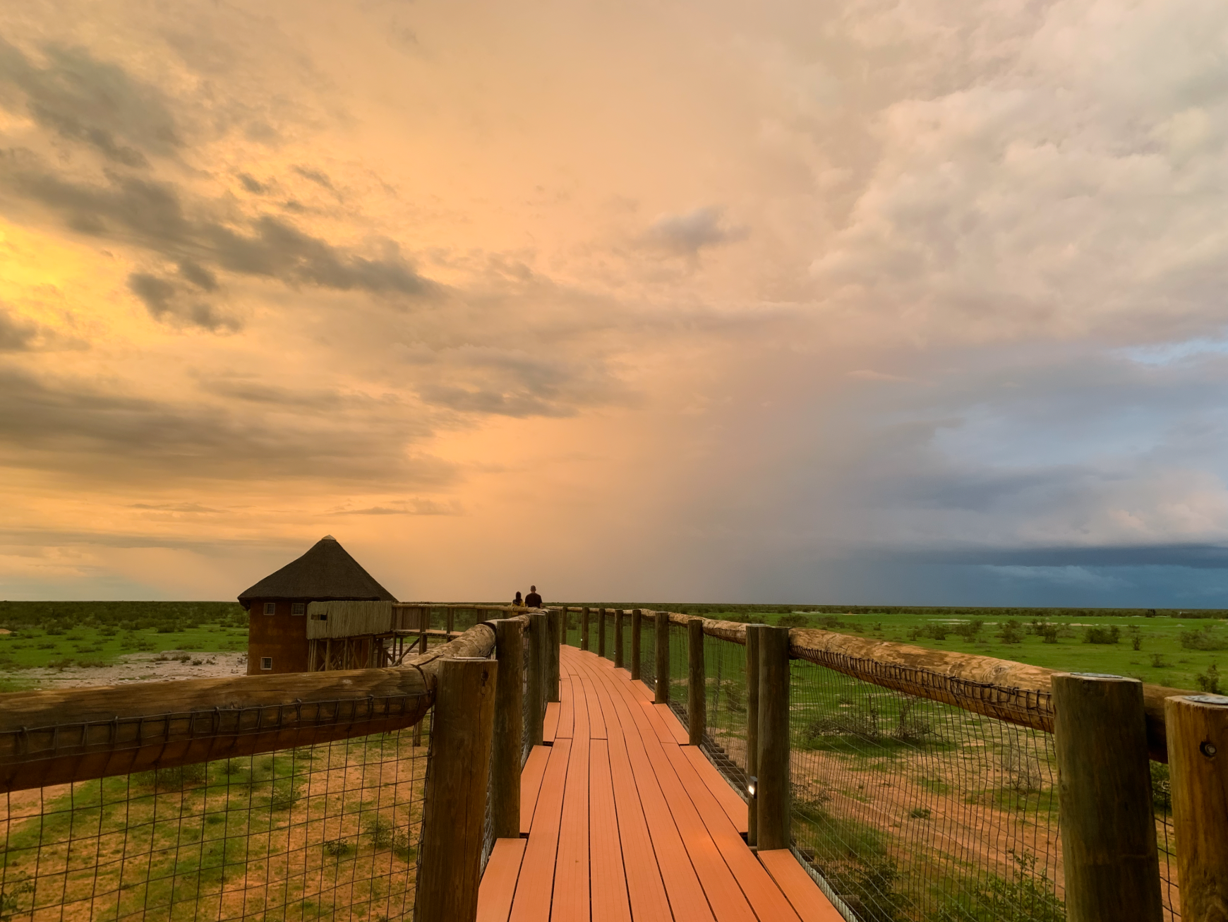Etosha National Park, Namibia