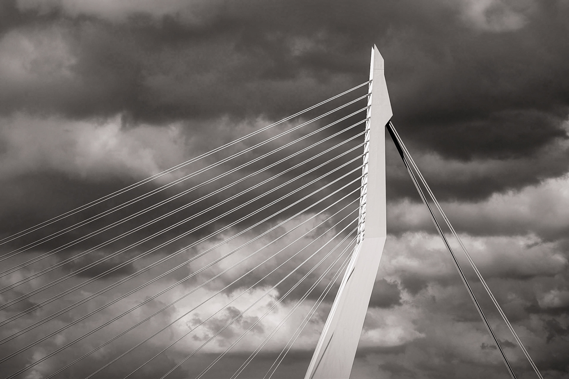 Erasmusbrug