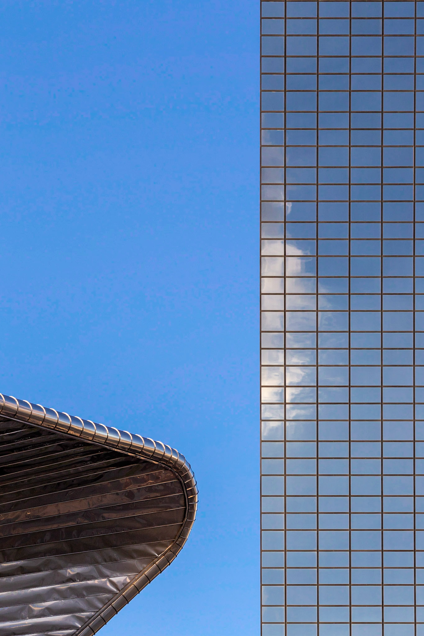 Rotterdam Centraal Roof and Delftse Poort