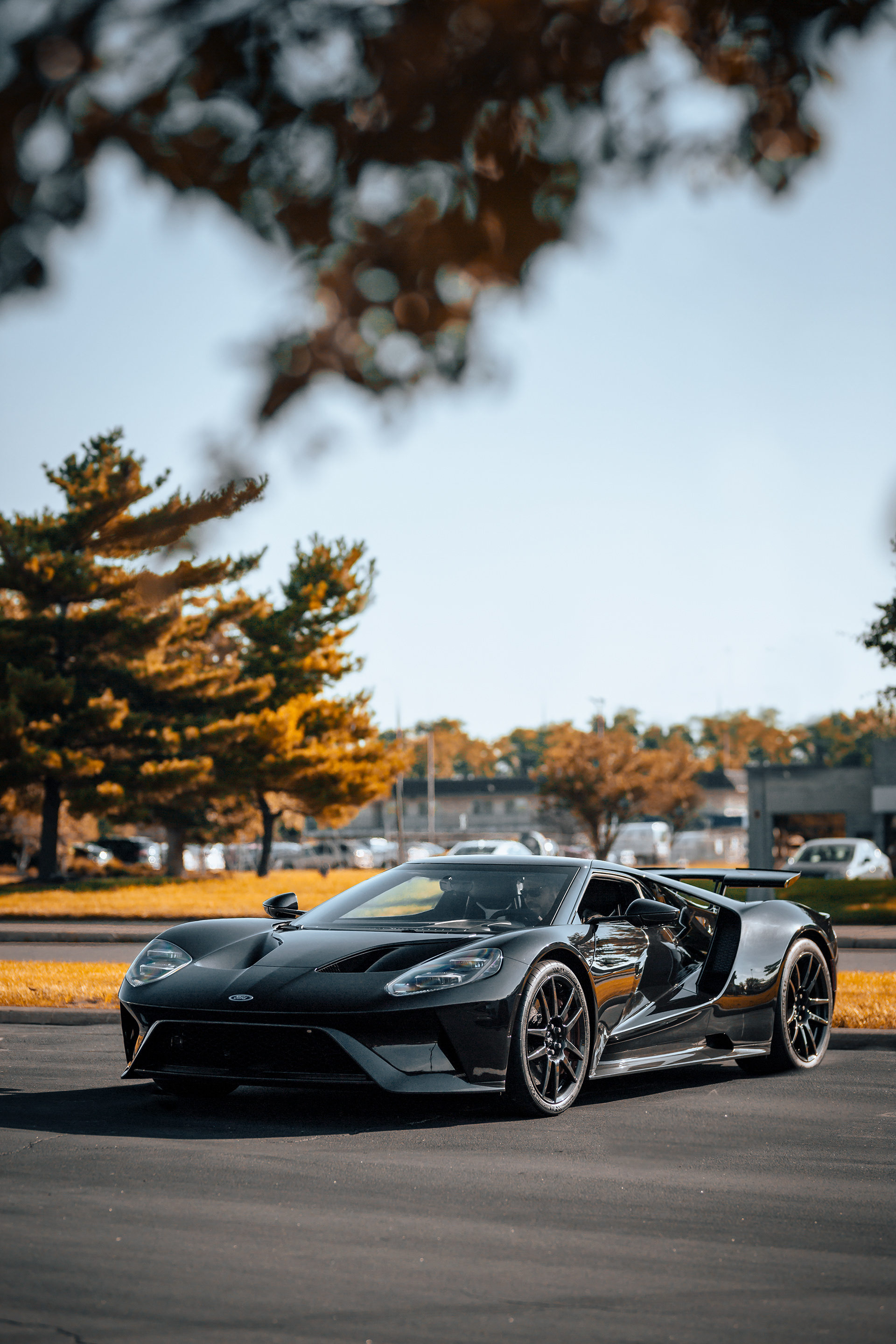 Shot for Private Owner