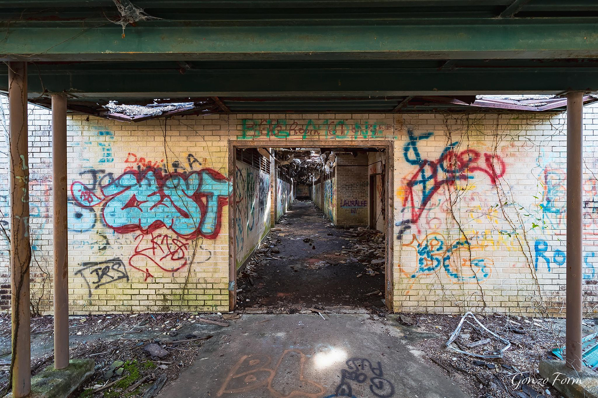 Gonzo Form Old Ellerbe Road School