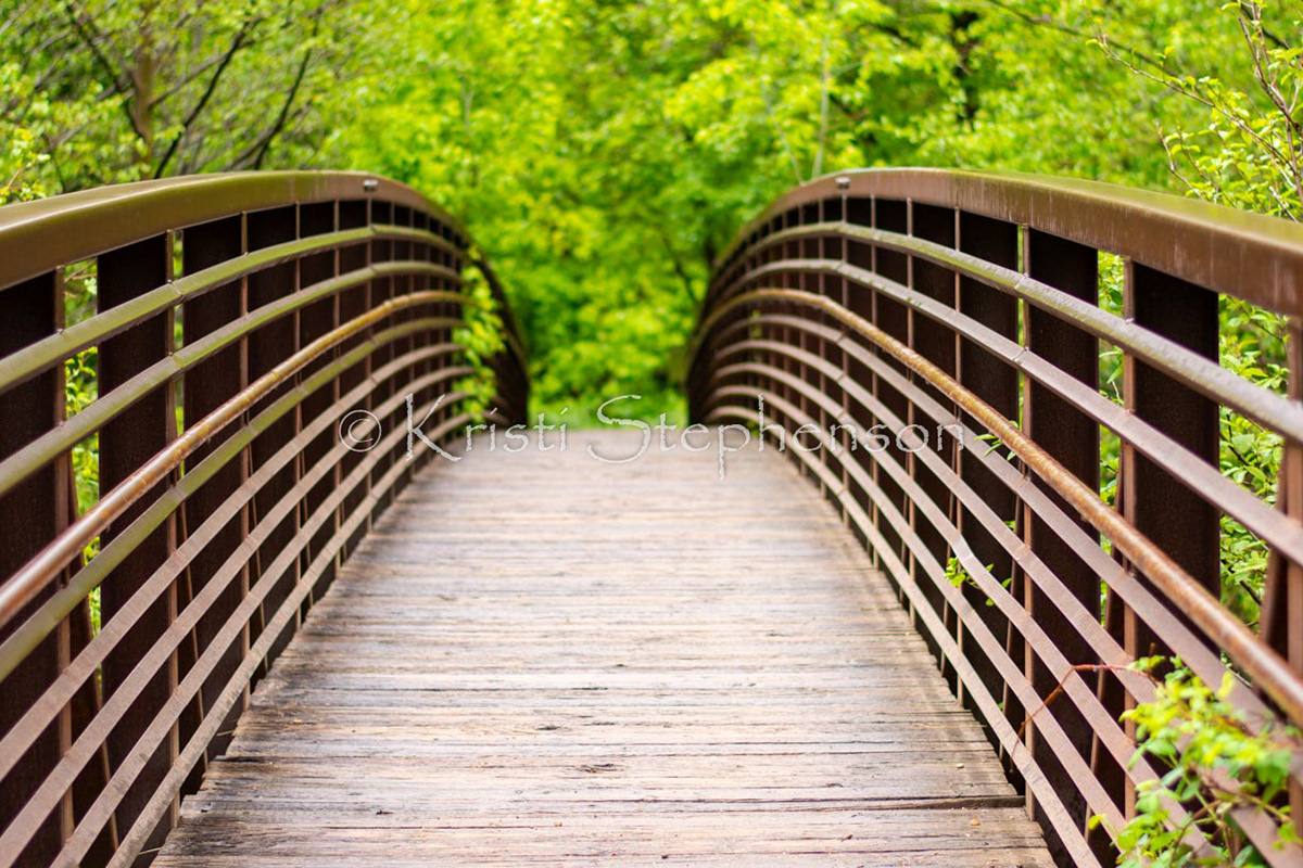 Bridge Over Oak Creek