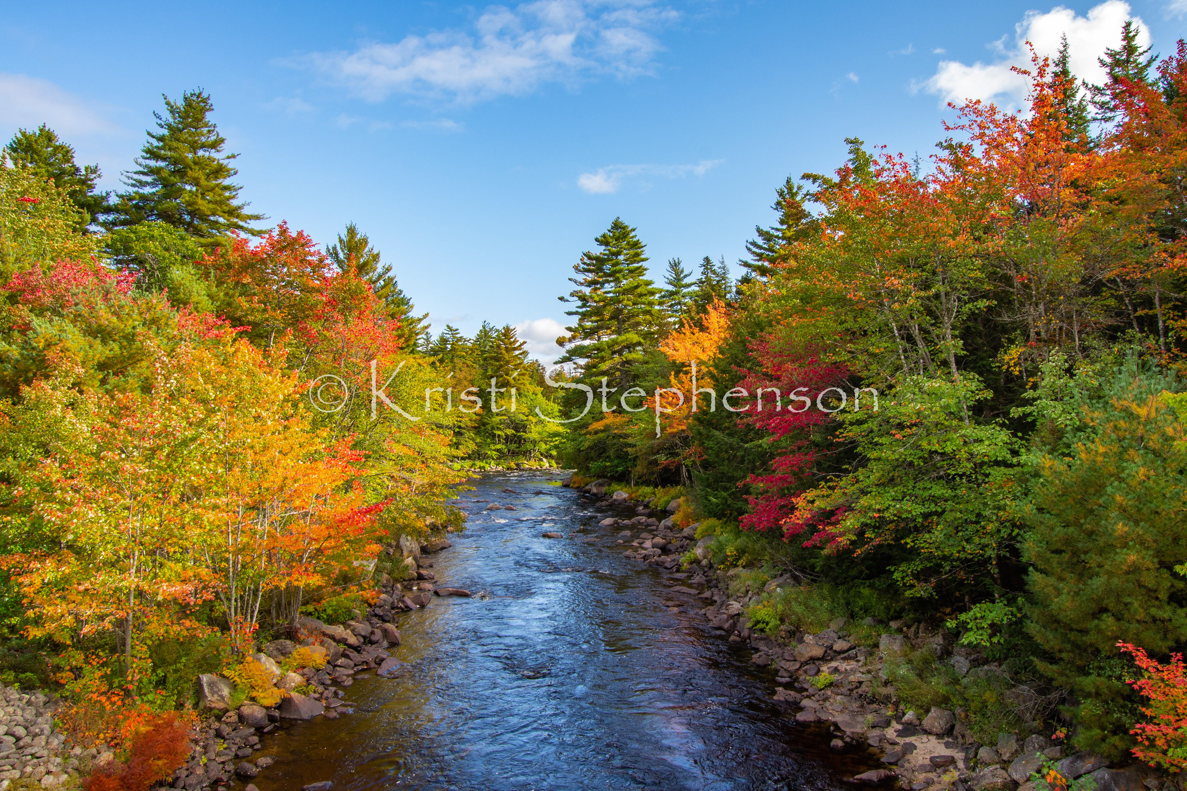 Fall Foliage, Maine - 1