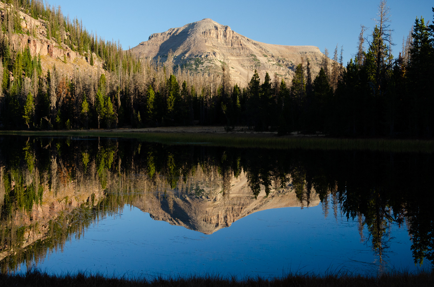 Uinta Mts., UT