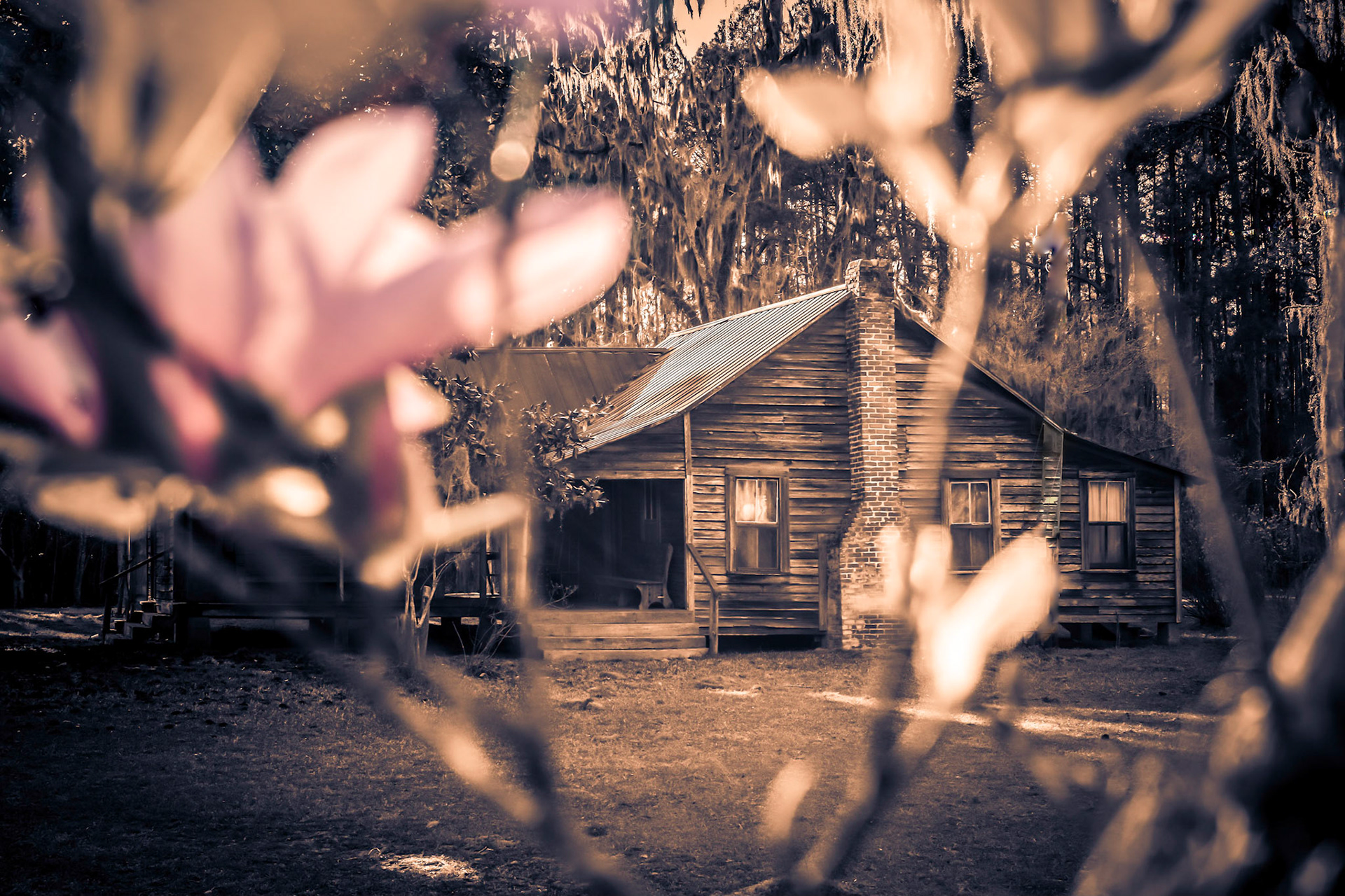 Standing behind the Chinese Magnolia tree. It's always the first to bloom.