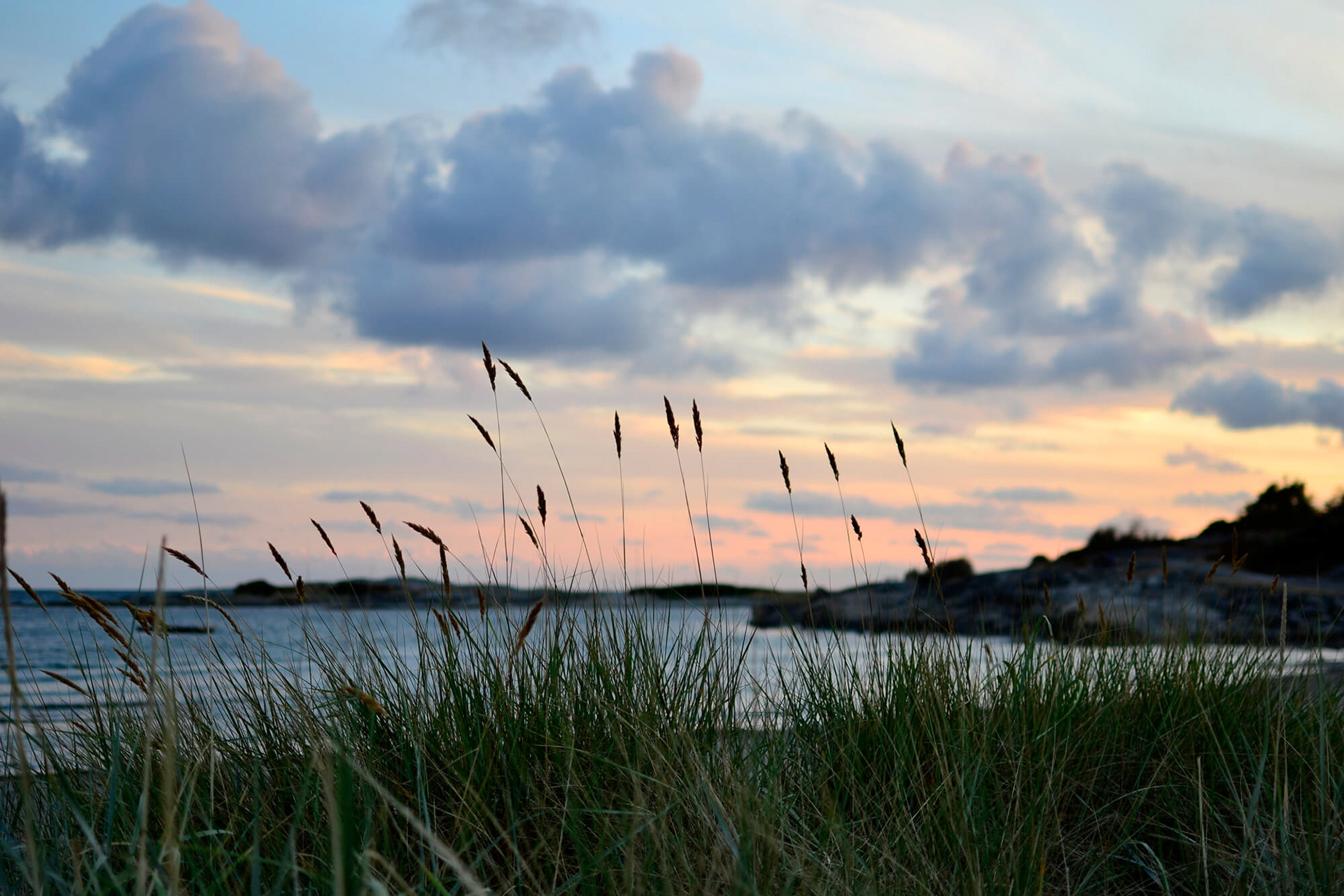 Swedish West Coast, 2018