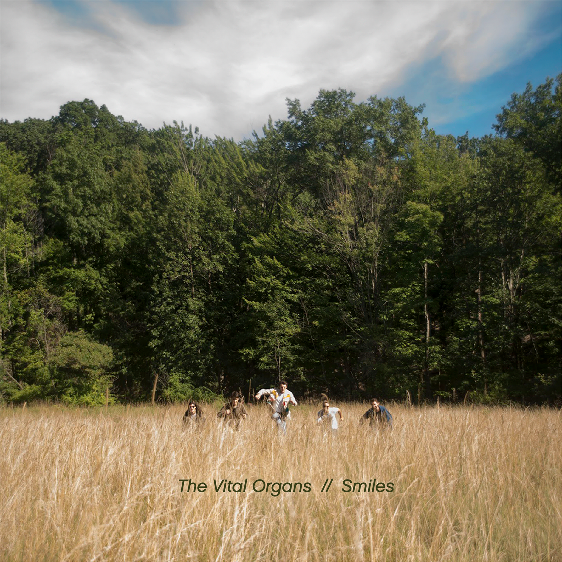 Album artwork for The Vital Organs song "Smiles"