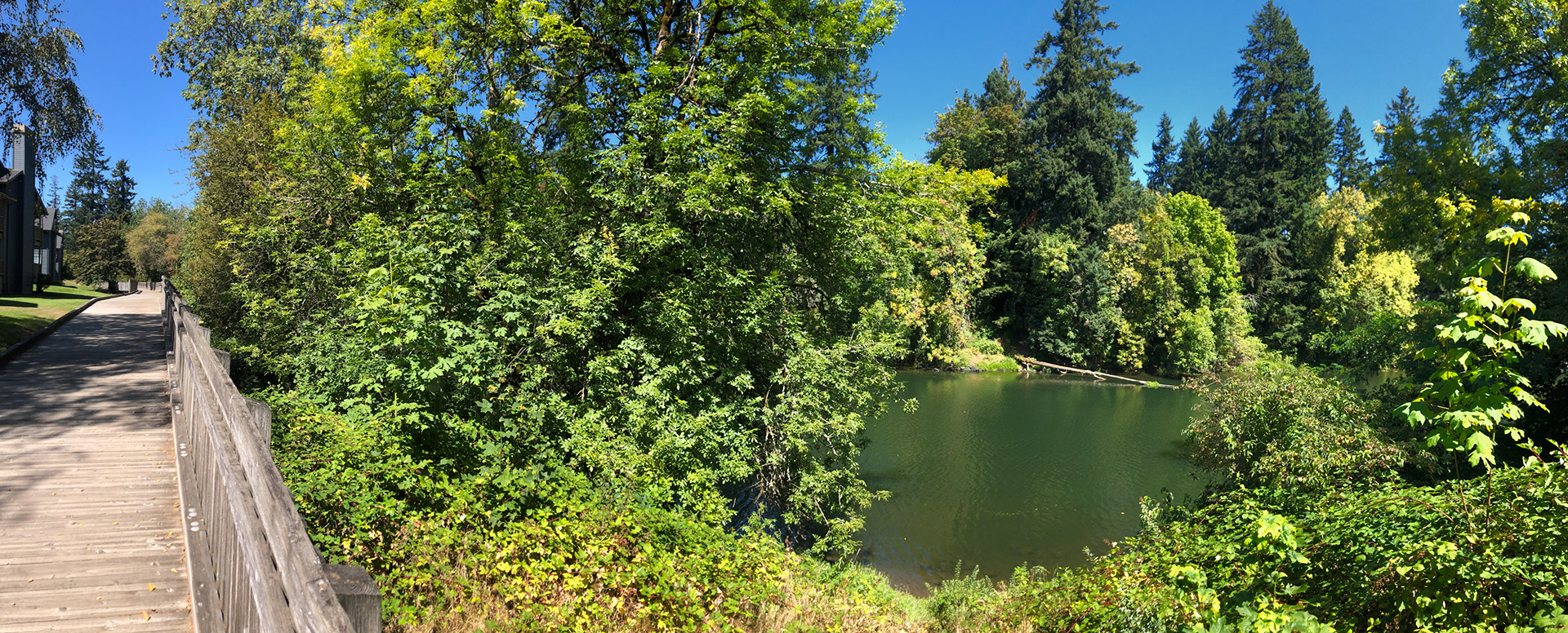 Browns Ferry Park