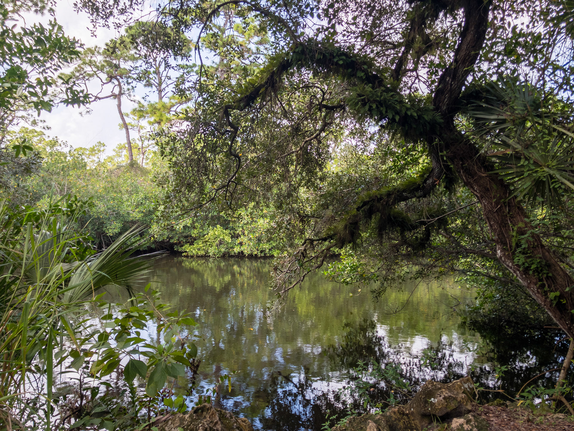 Koreshan State Park
