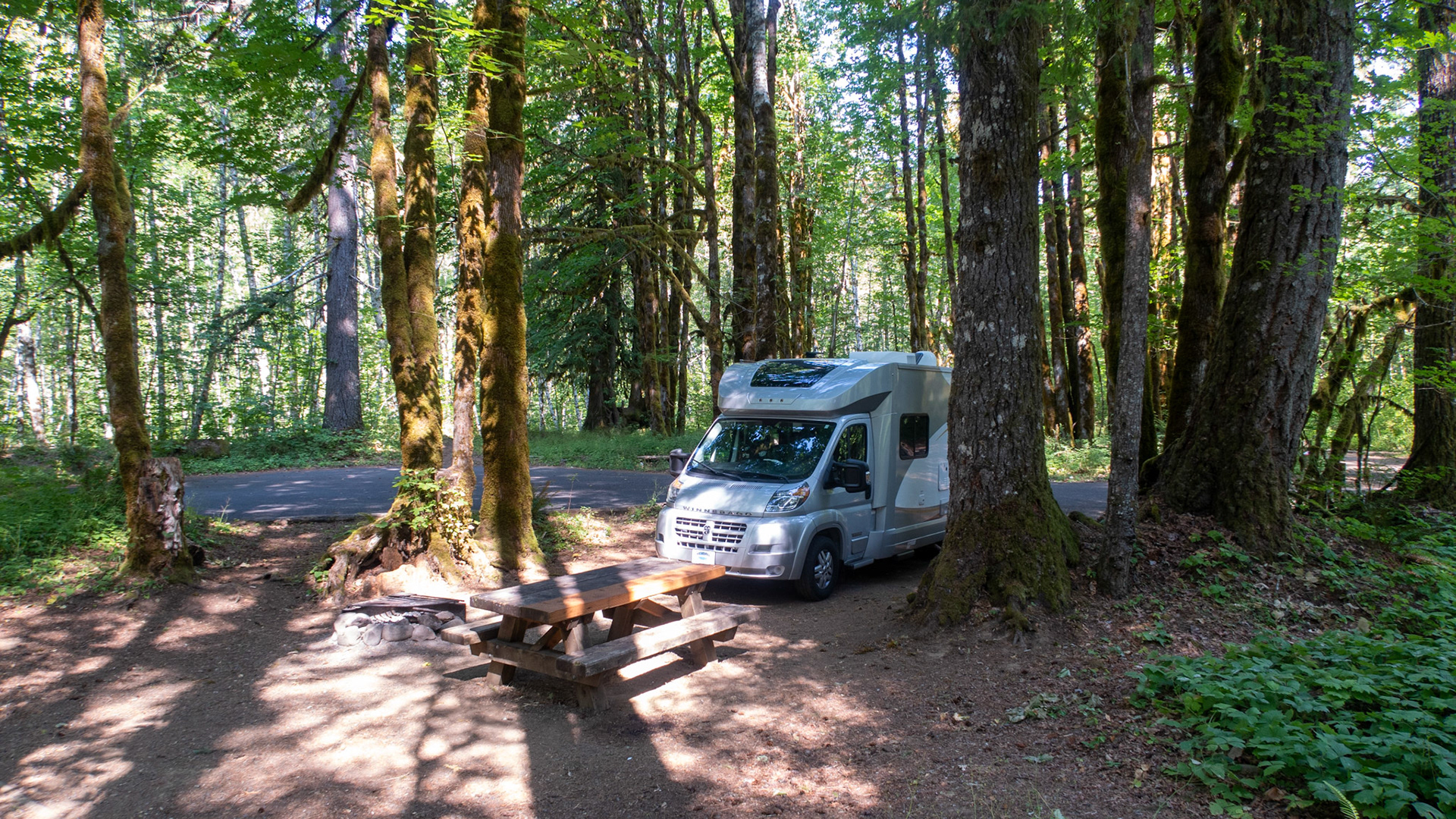 Beaver Camp