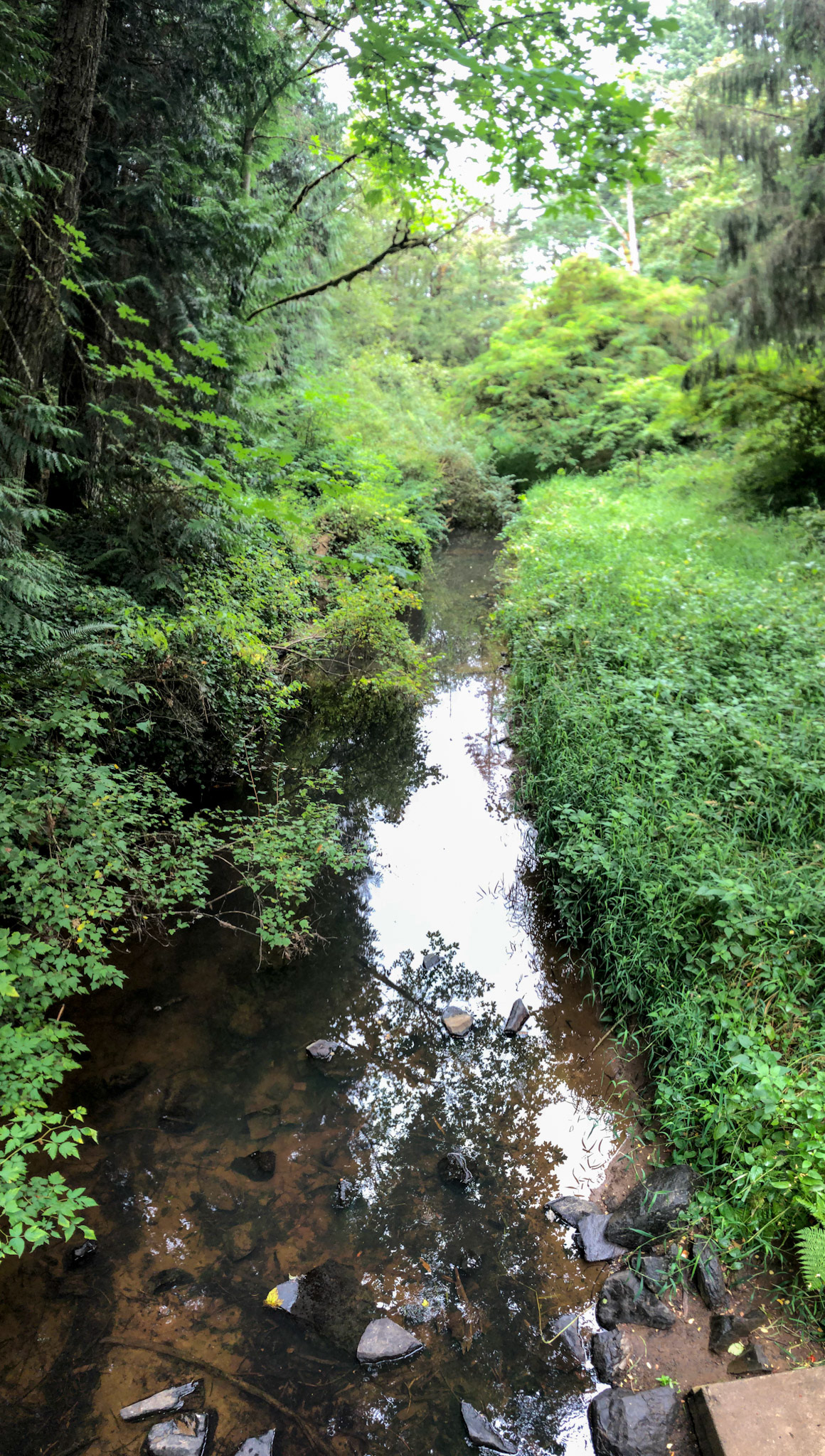 Hudson-Parcher Park