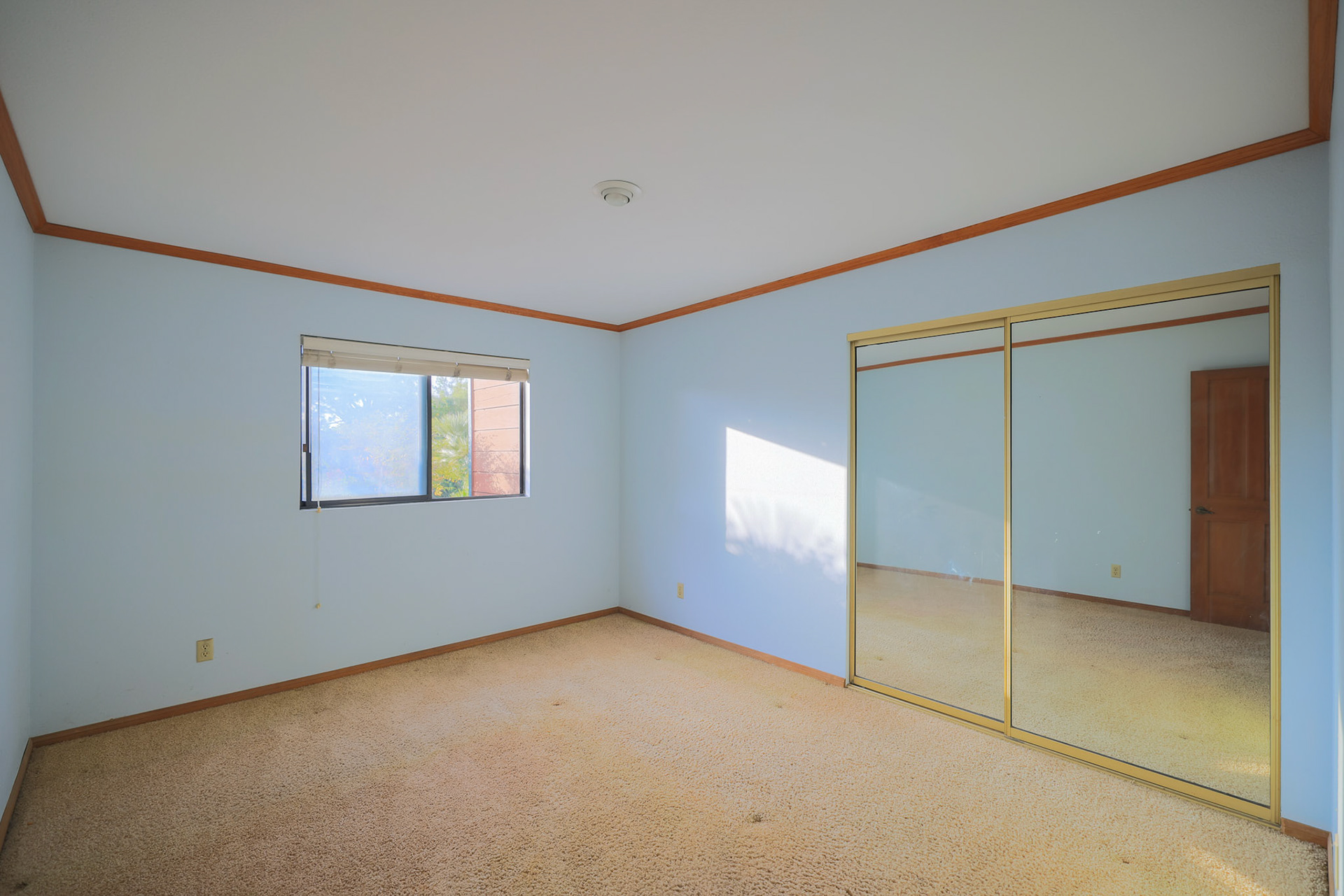 335 Rudd Rd