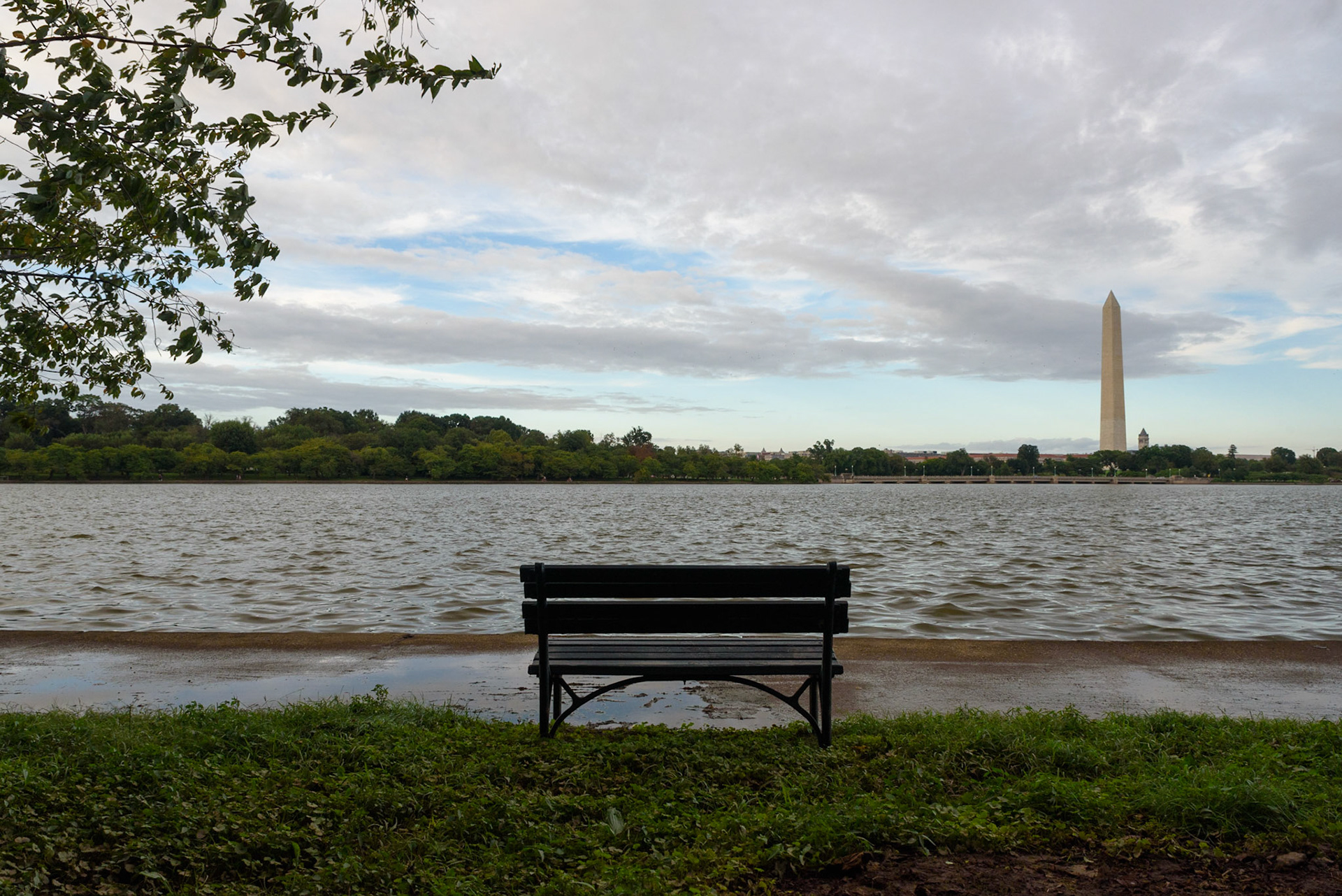 VL Time Captures Tidal Basin, Washington DC