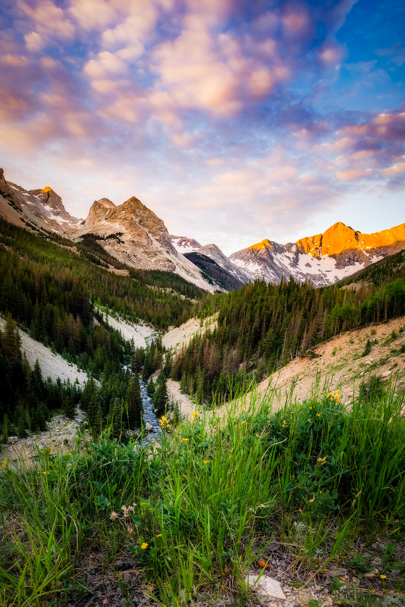 "Tranquility" - 2019