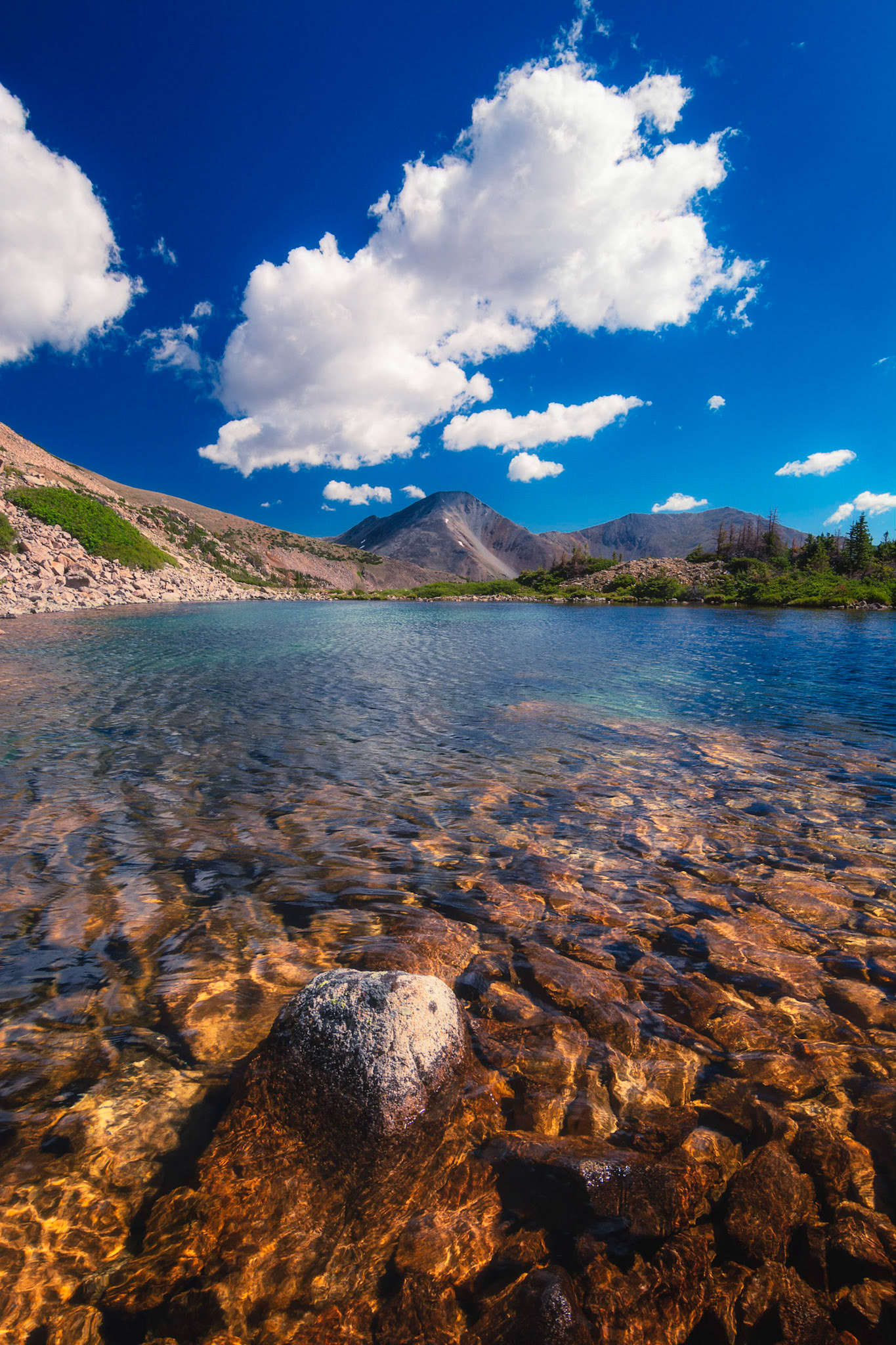 "Clarity" - Along the Colorado Trail - 2020