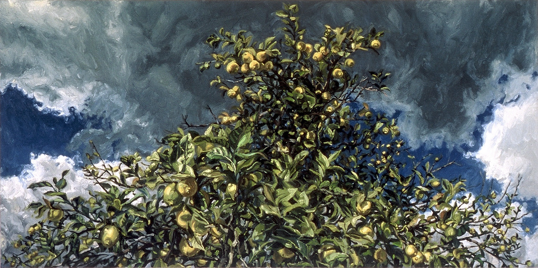 Expose, oil on canvas, 24in x 48in, 2002