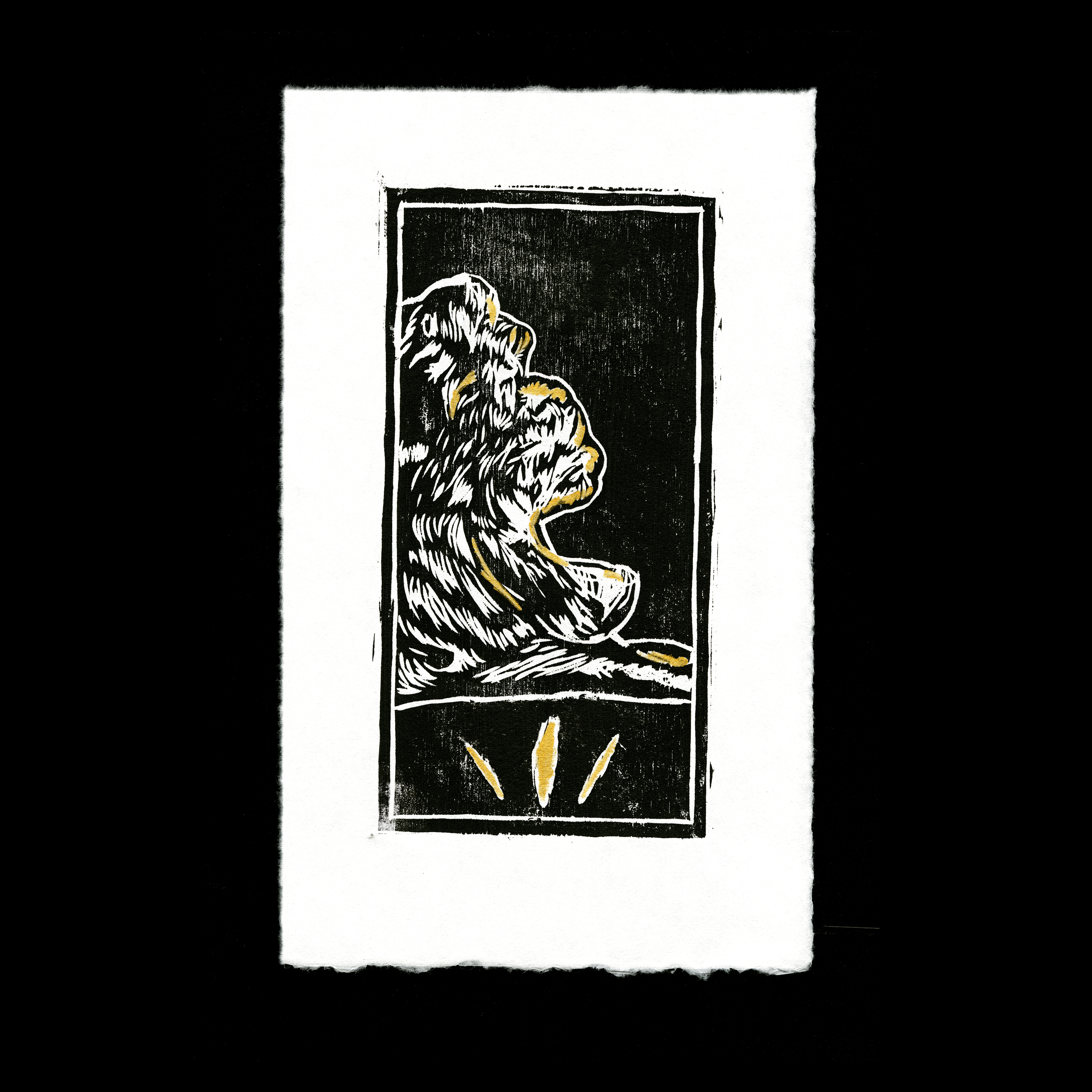 "Transfiguration"